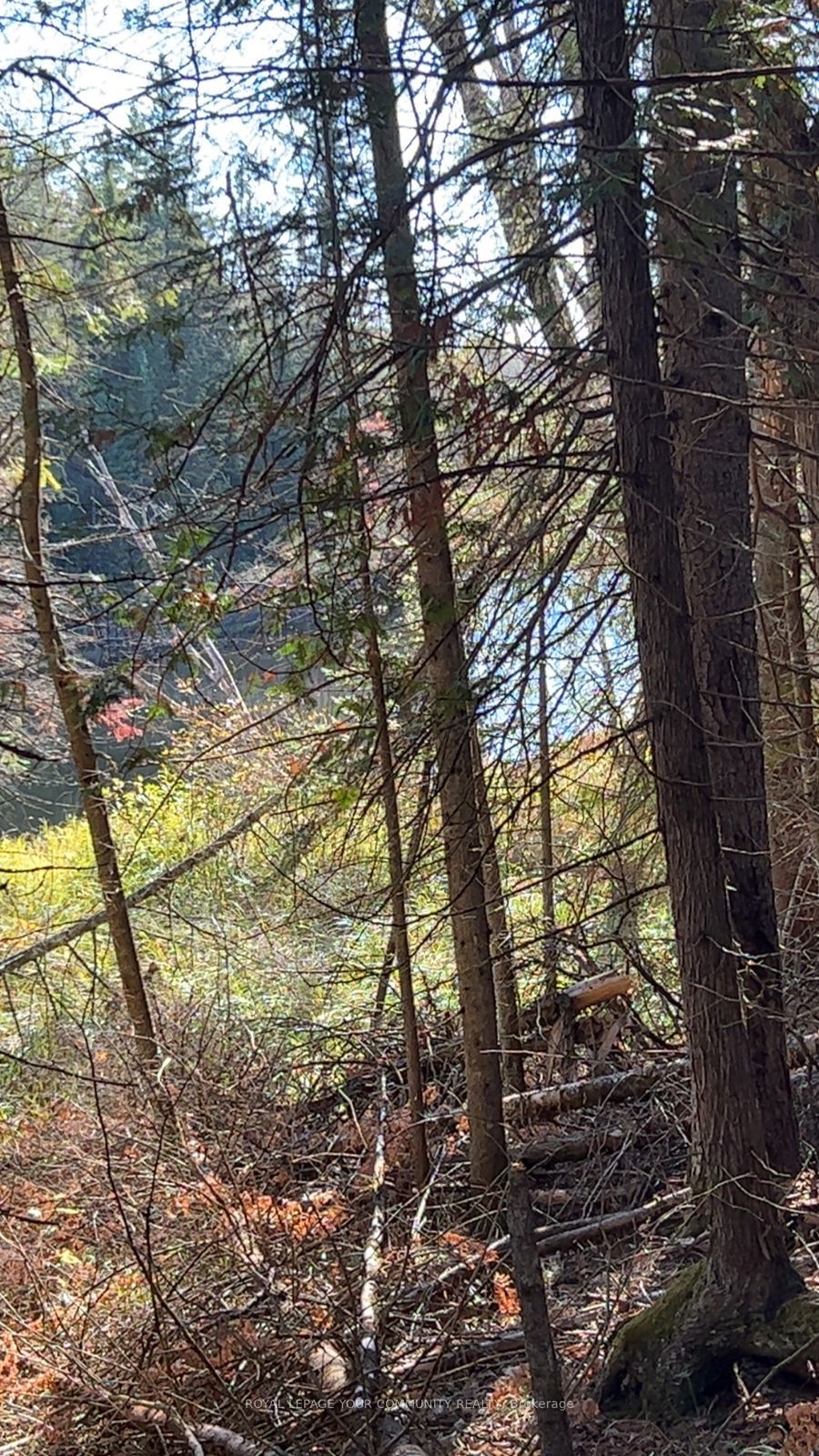 Con 1 Lot 4, Bancroft, ON K0L 2S0 photo 5