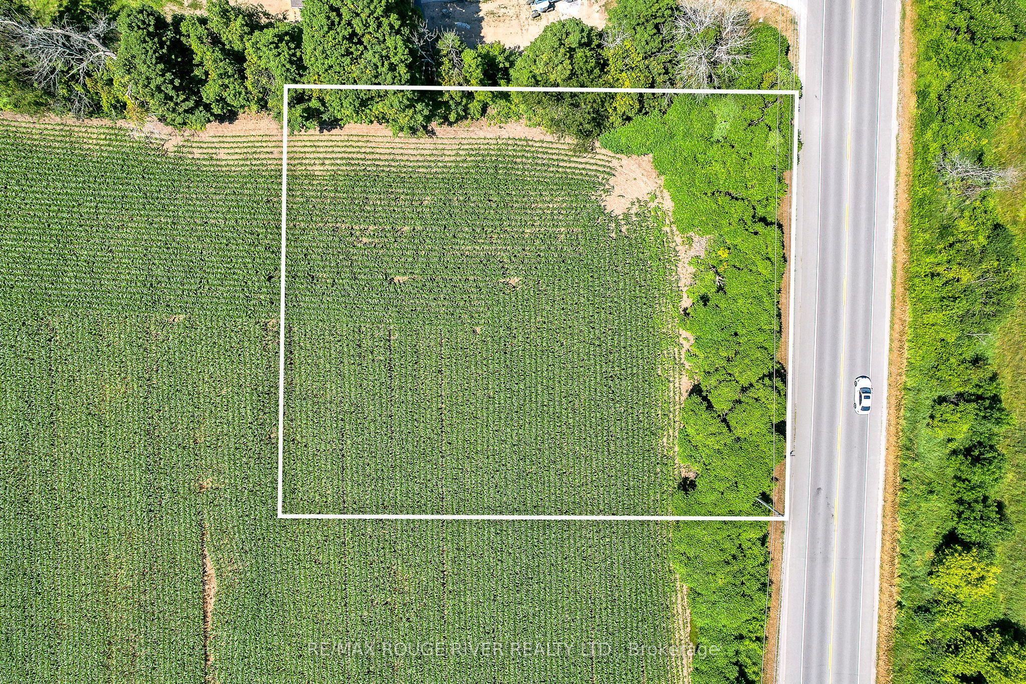 PT LOT 33 County Road 2 N/A, Alnwick/Haldimand, ON K9A 4J8 photo 3