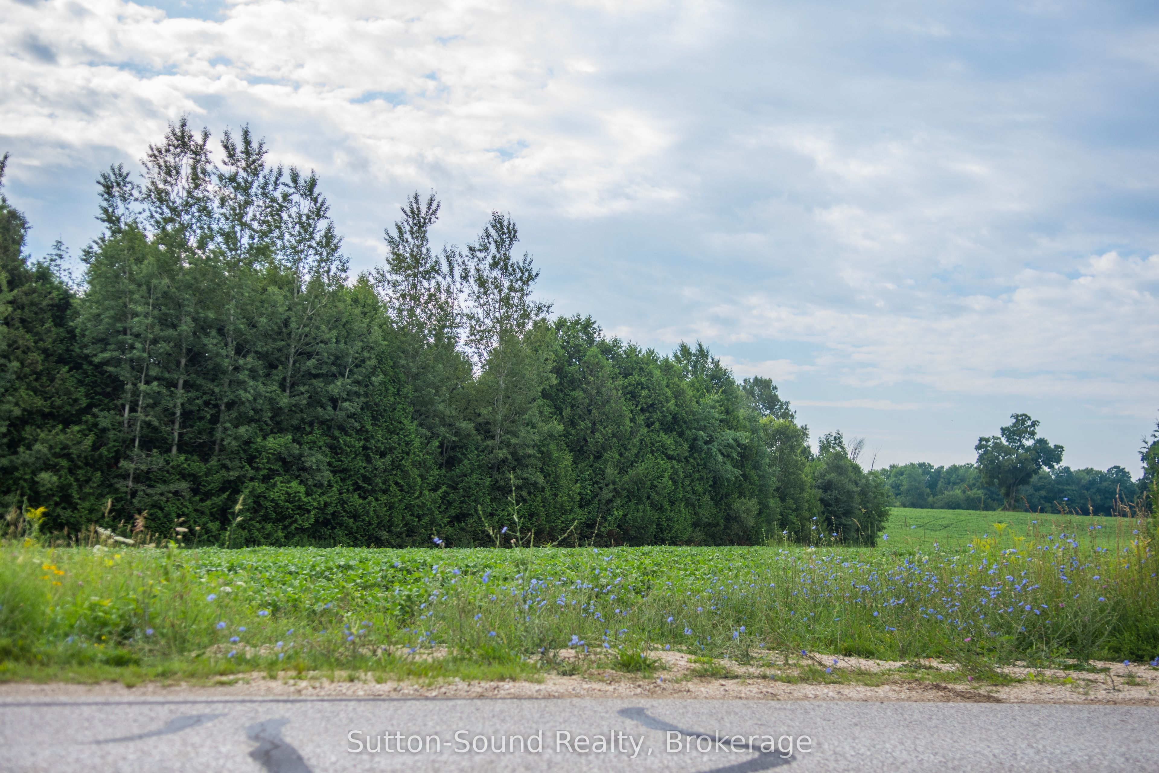 PL11-12 10 Side Road, Chatsworth, ON N0H 1G0 photo 2