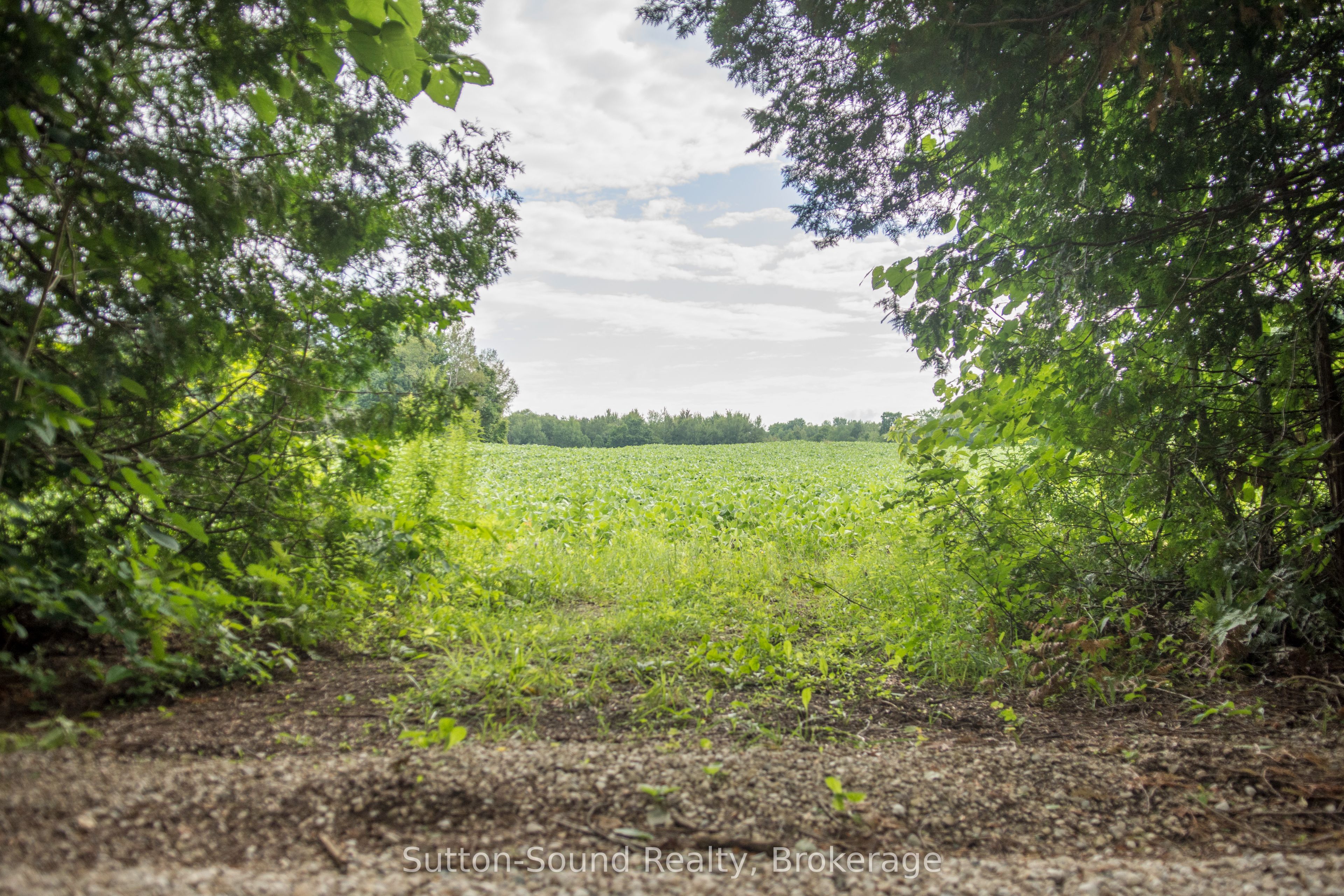 PL11-12 10 Side Road, Chatsworth, ON N0H 1G0 photo 3