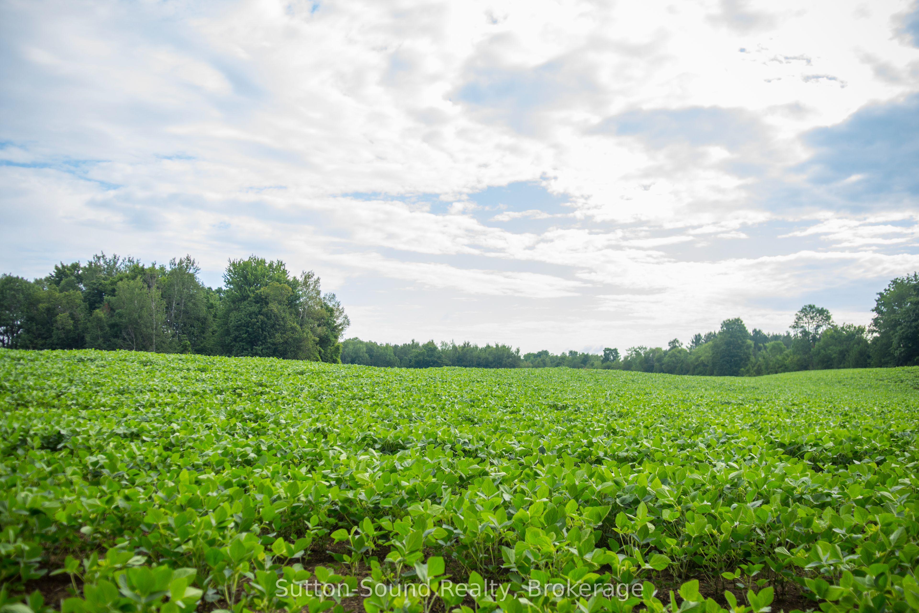 PL11-12 10 Side Road, Chatsworth, ON N0H 1G0 photo 4