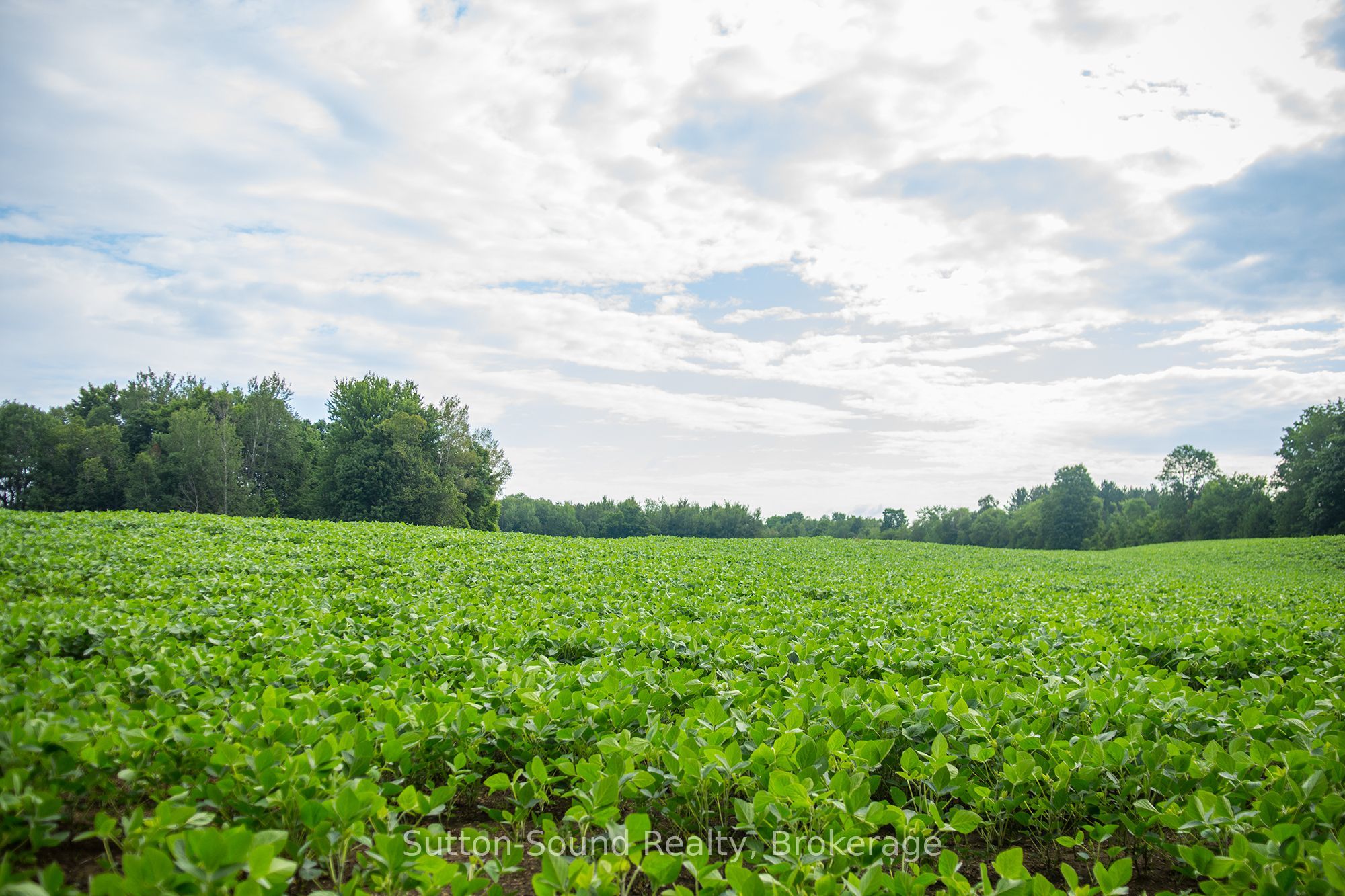 PL11-12 10 Side Road, Chatsworth, ON N0H 1G0 photo 5