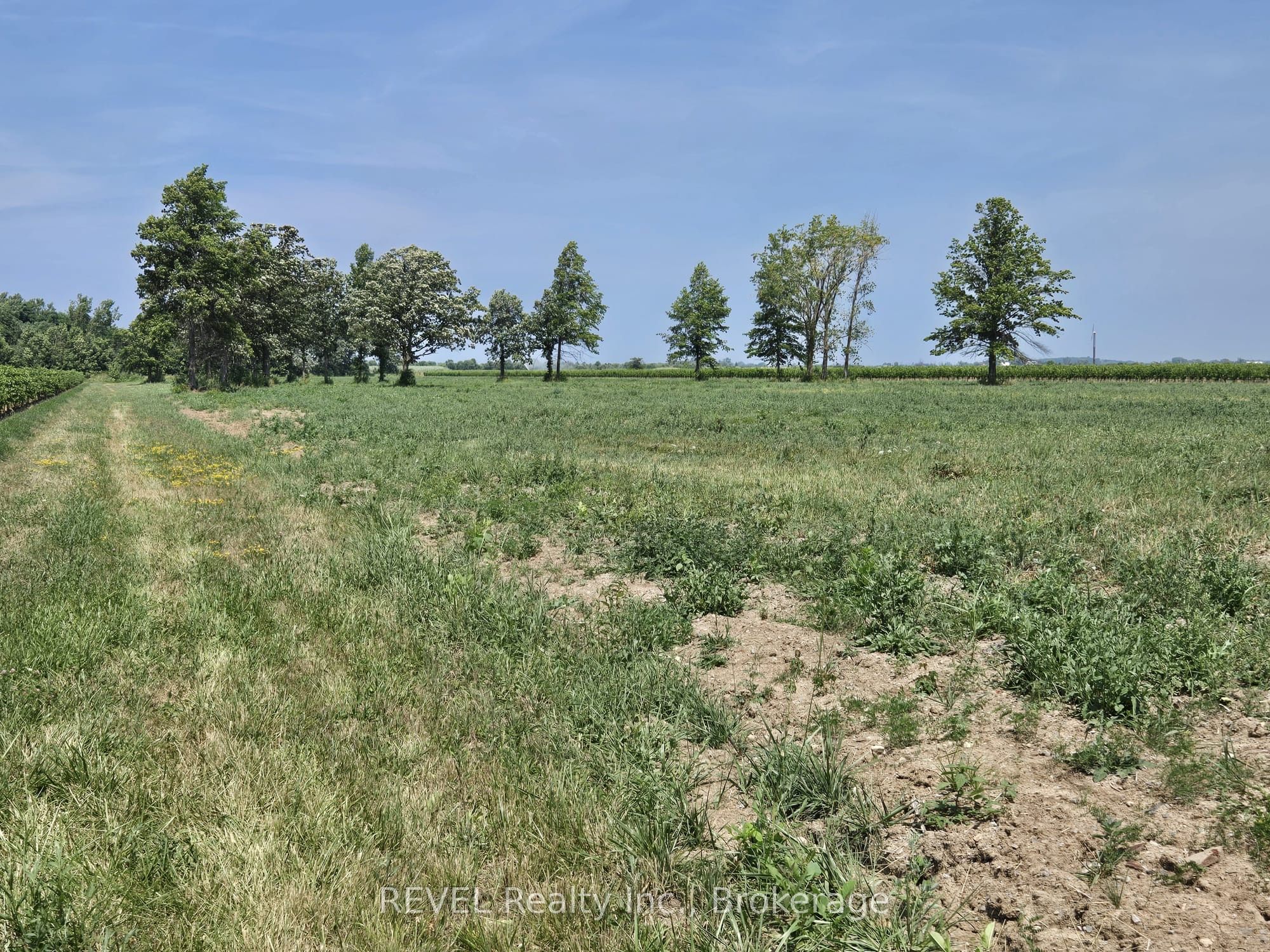 240 EASTCHESTER Avenue, Niagara-on-the-Lake, ON L0S 1J0 photo 3