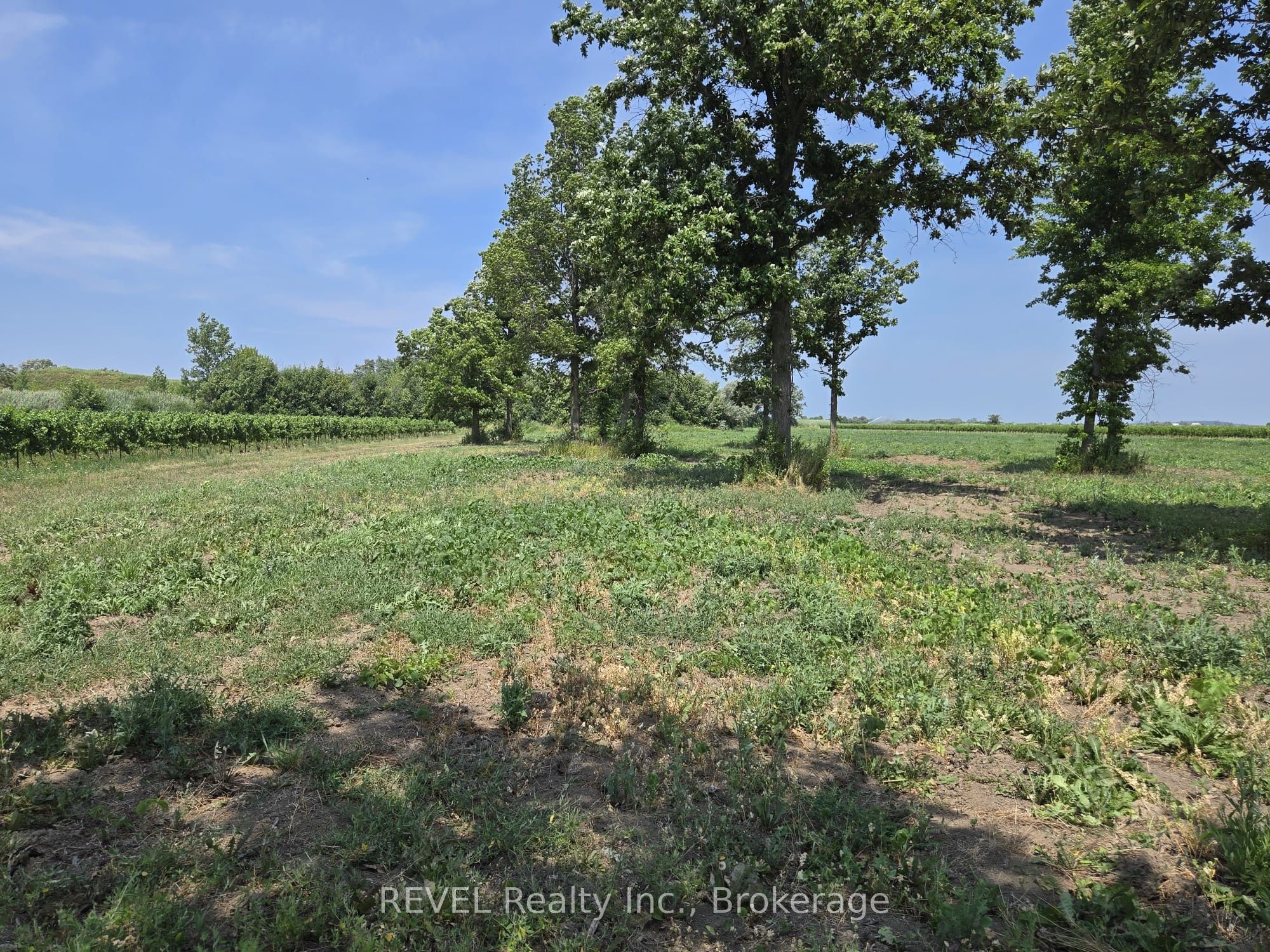 240 EASTCHESTER Avenue, Niagara-on-the-Lake, ON L0S 1J0 photo 4
