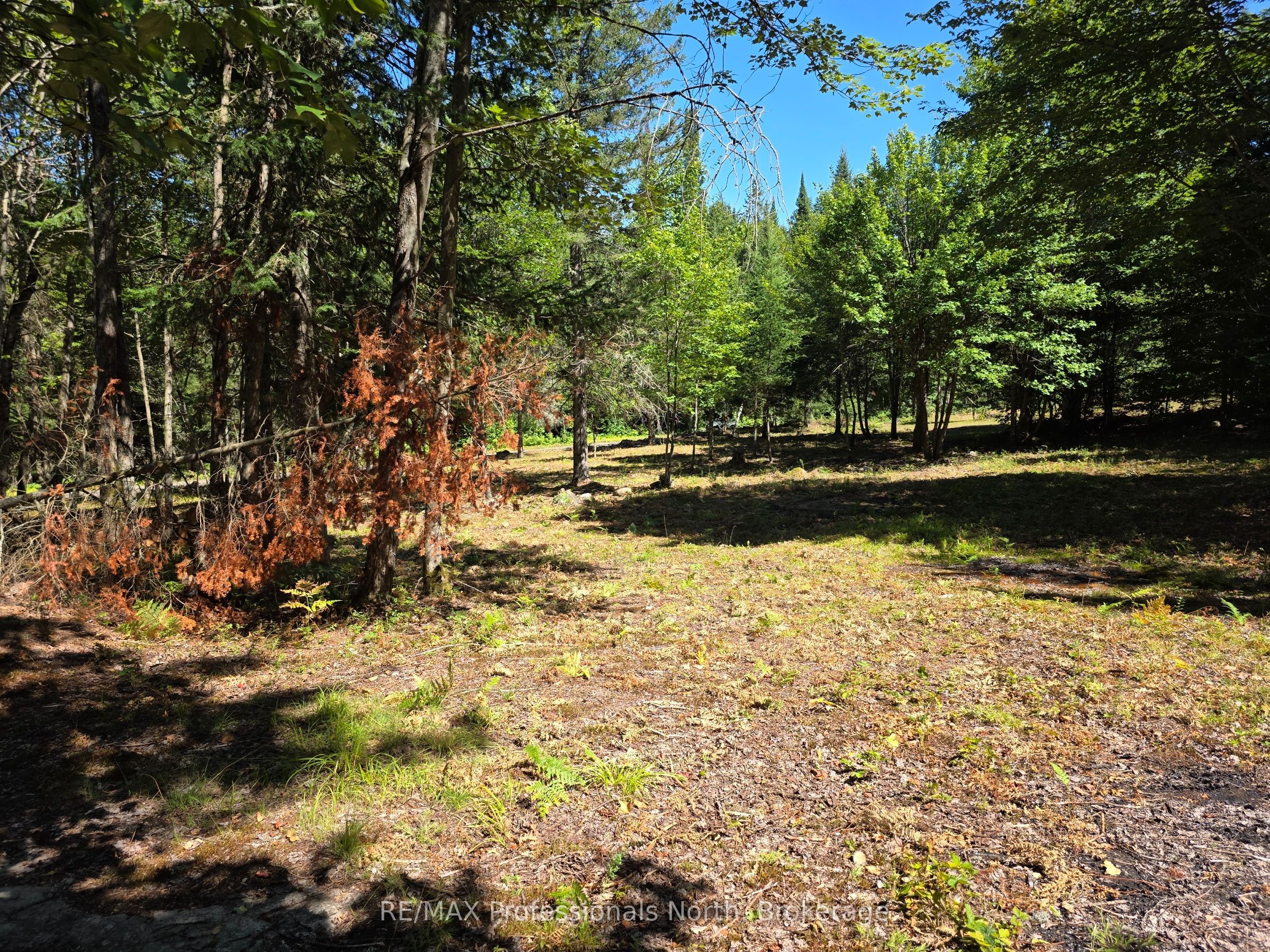 00 Whitney Road, Perry, ON P0A 1R0