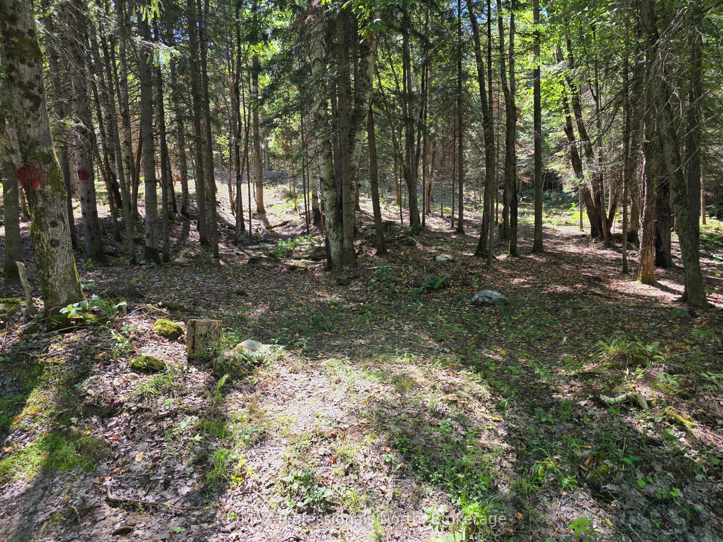 00 Whitney Road, Perry, ON P0A 1R0 photo 2