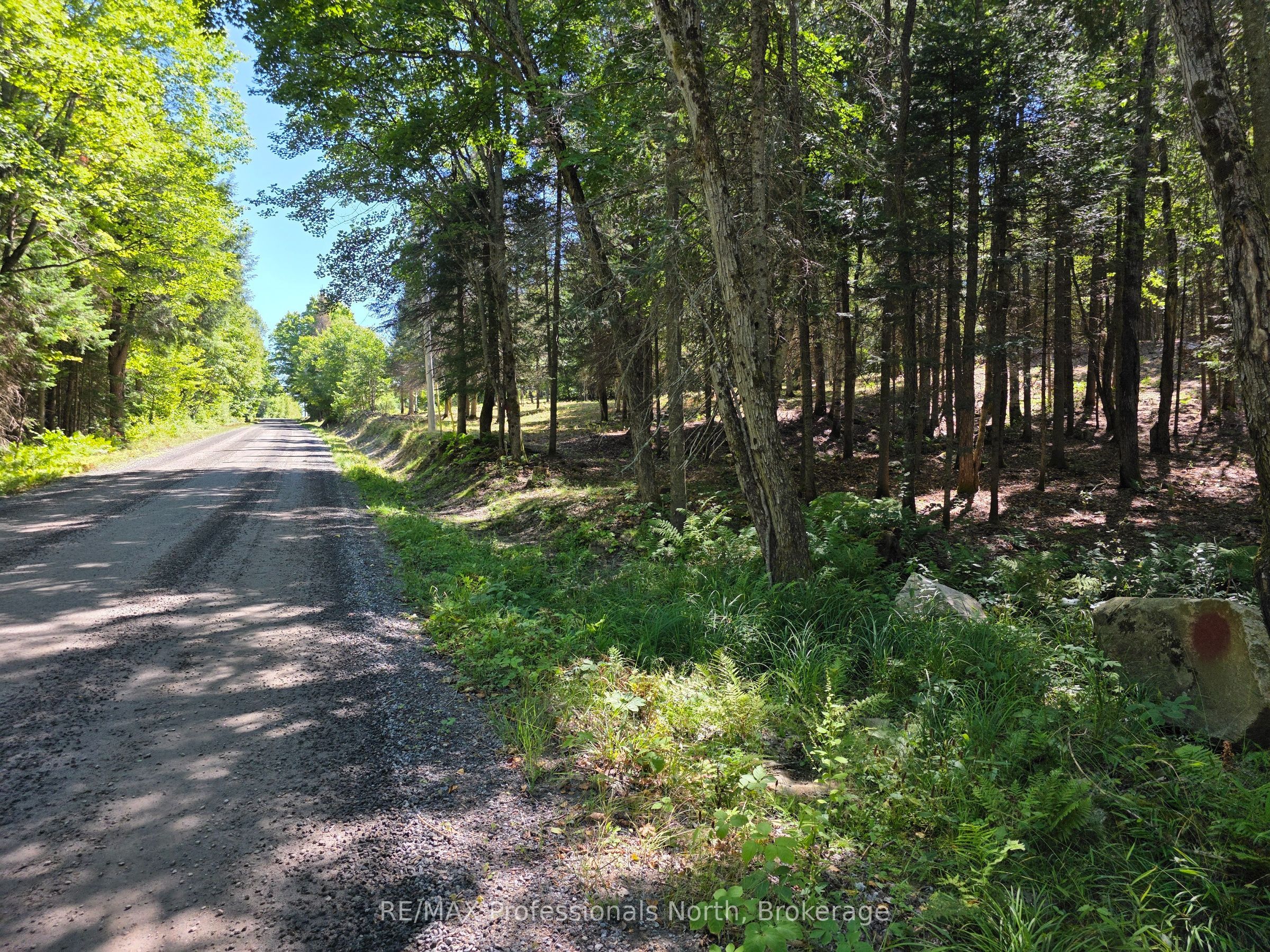 00 Whitney Road, Perry, ON P0A 1R0 photo 3