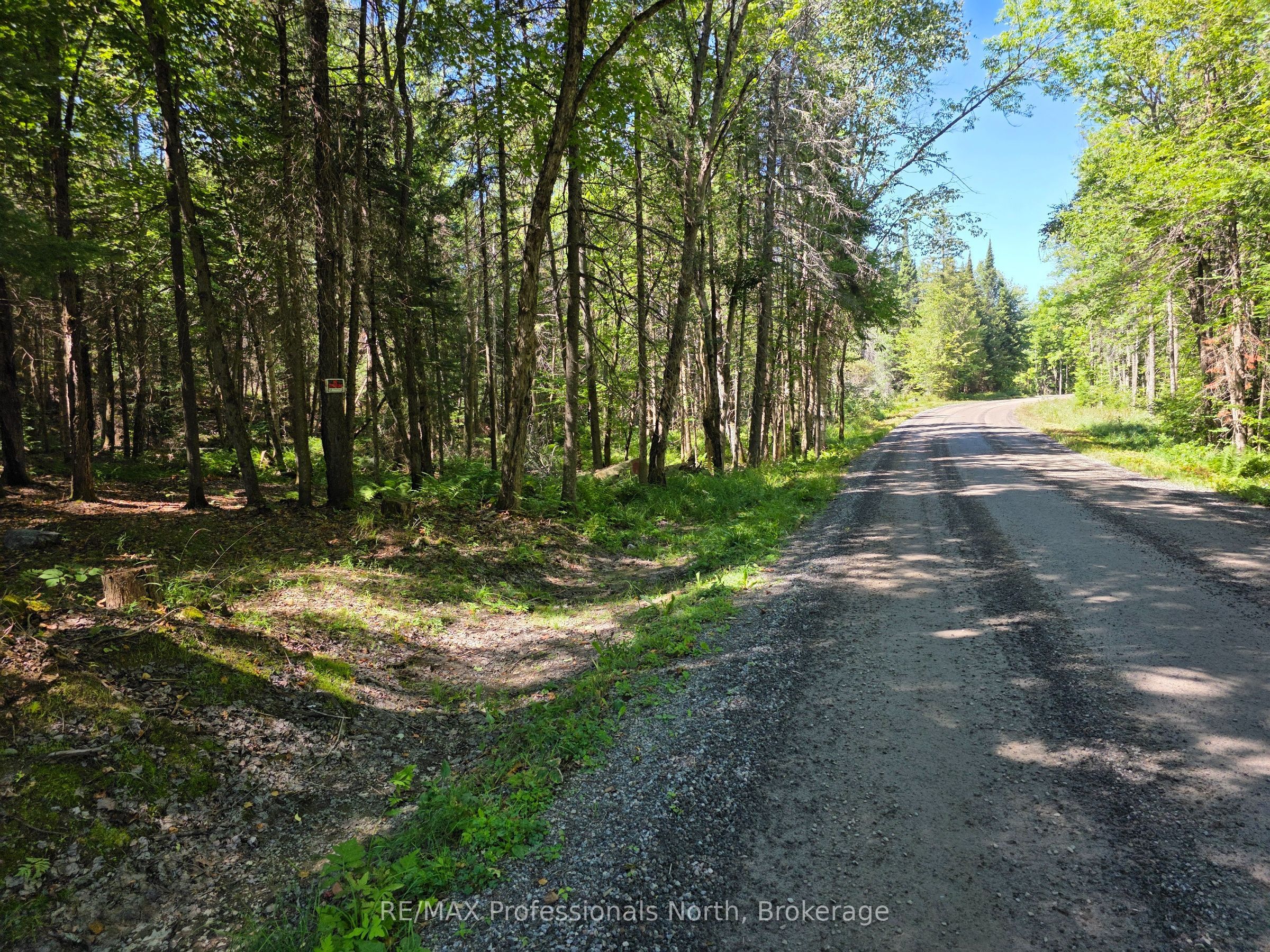 00 Whitney Road, Perry, ON P0A 1R0 photo 4