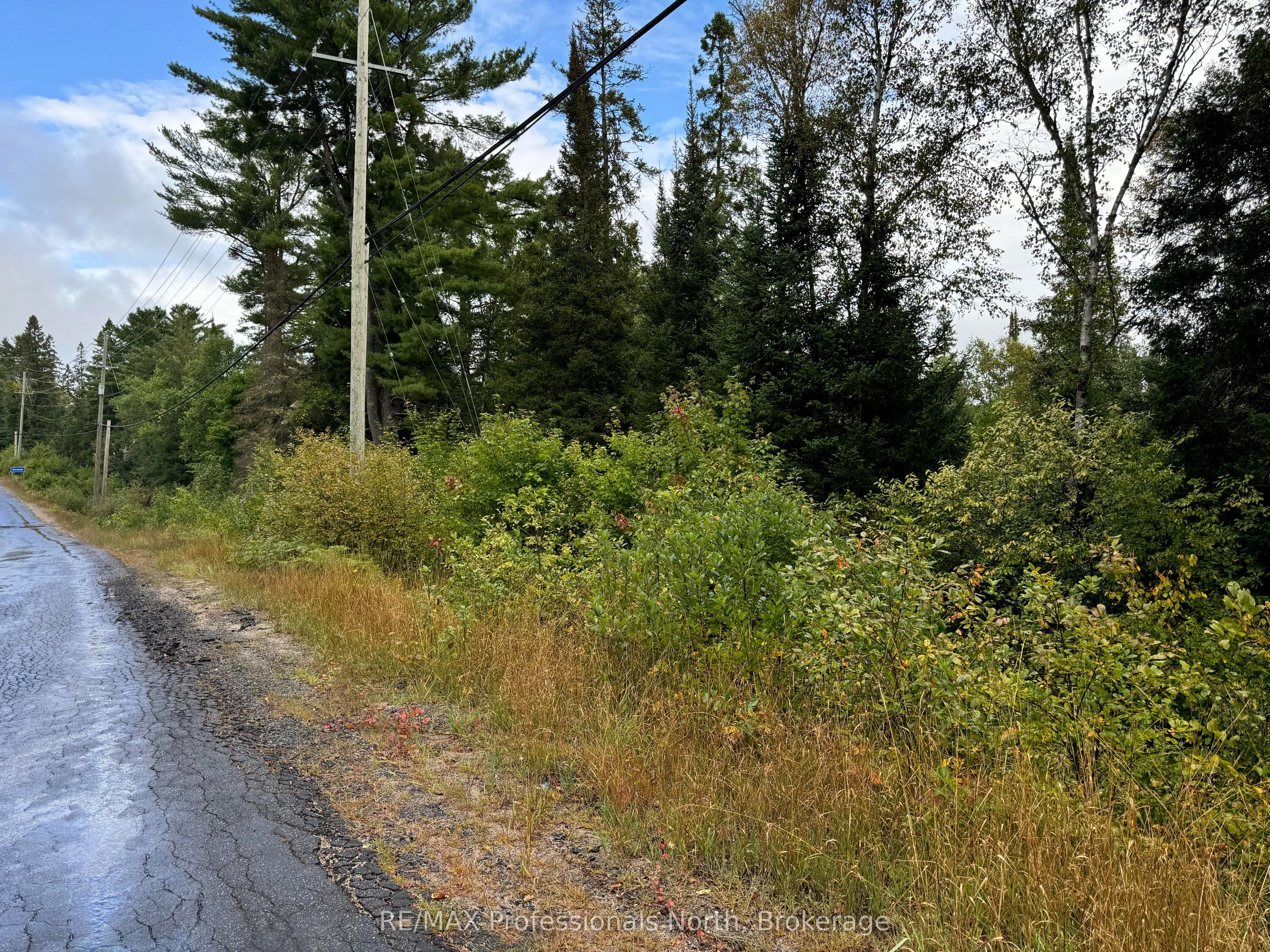 0 592, Perry, ON P0A 1J0 photo 4
