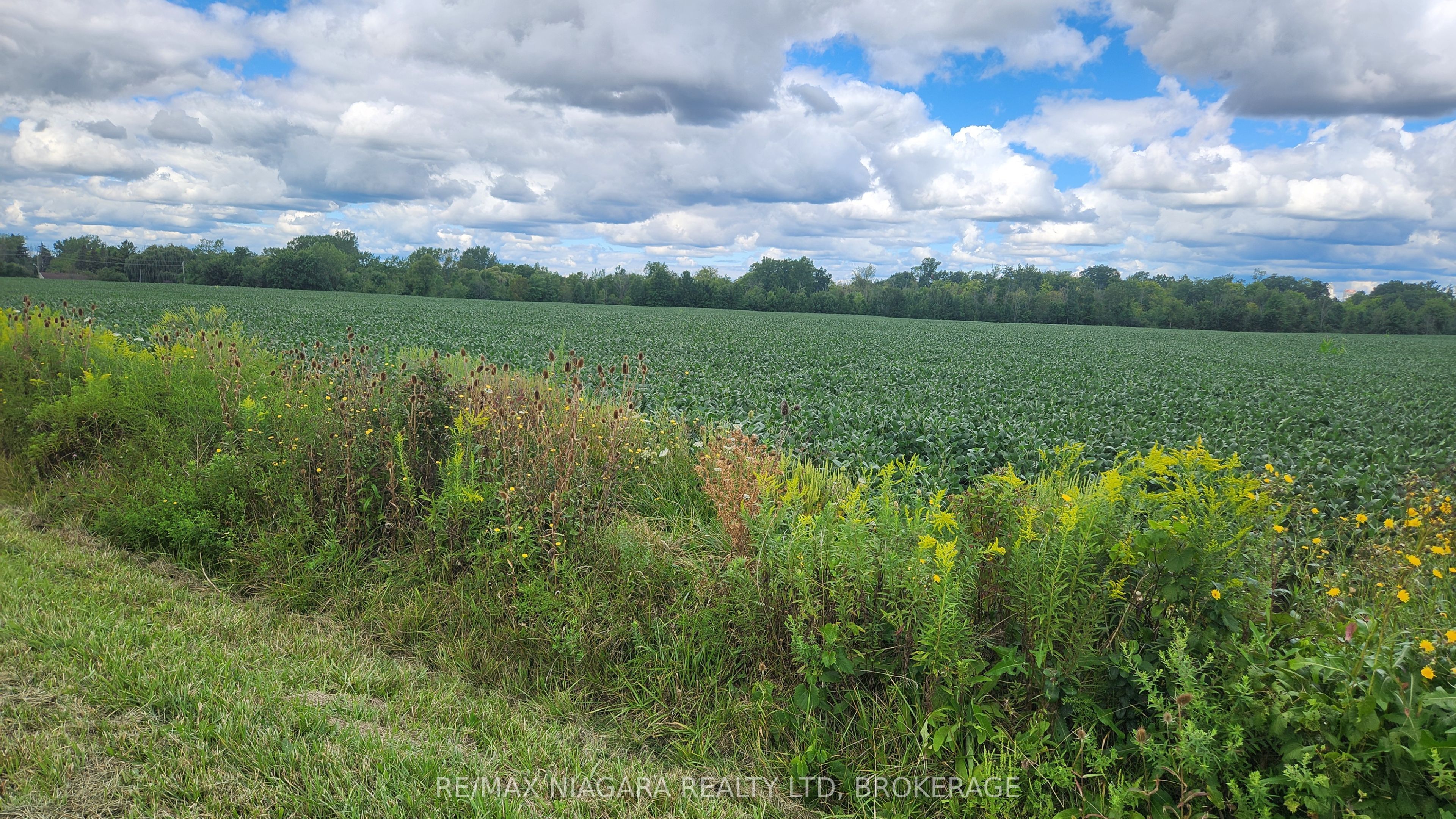 2651 Wessel Drive, Pelham, ON L2R 6P7 photo 5