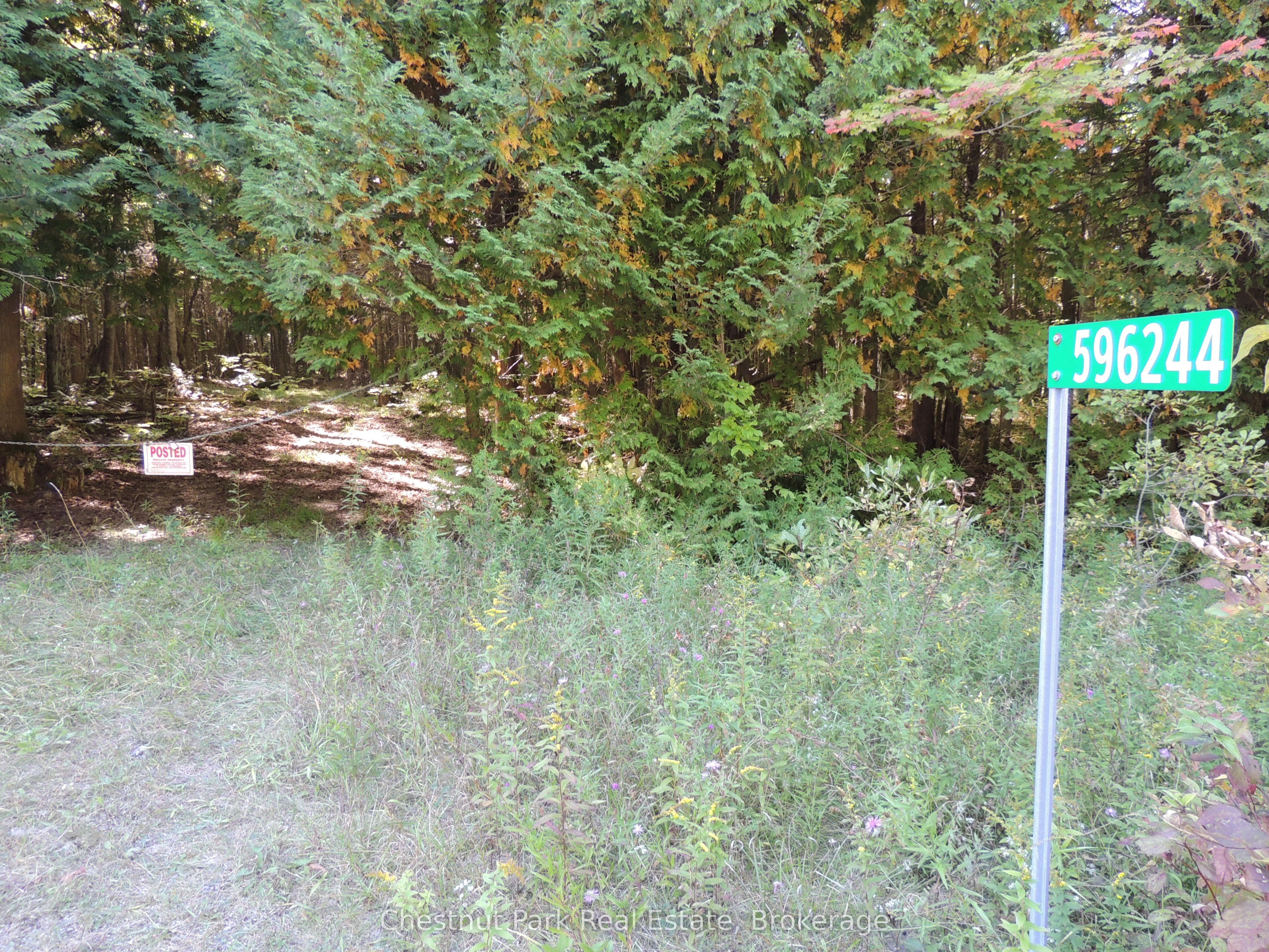 596244 Concession 10, Chatsworth, ON N0H 1R0