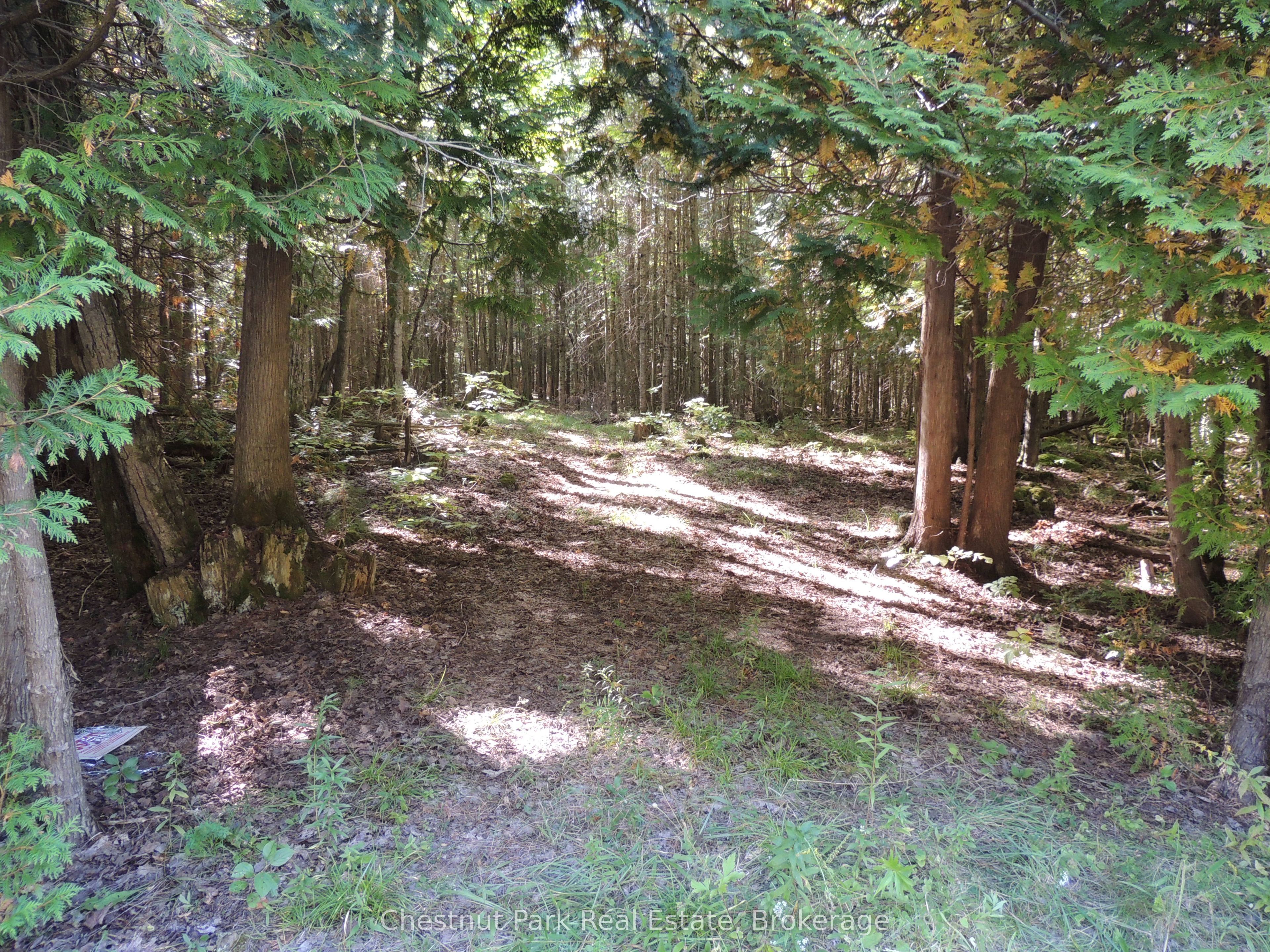 596244 Concession 10, Chatsworth, ON N0H 1R0 photo 2