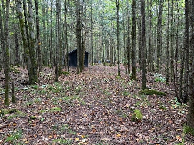 596244 Concession 10, Chatsworth, ON N0H 1R0 photo 4