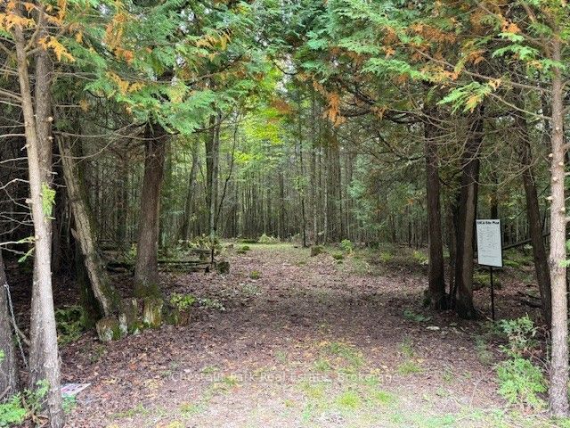 596244 Concession 10, Chatsworth, ON N0H 1R0 photo 5