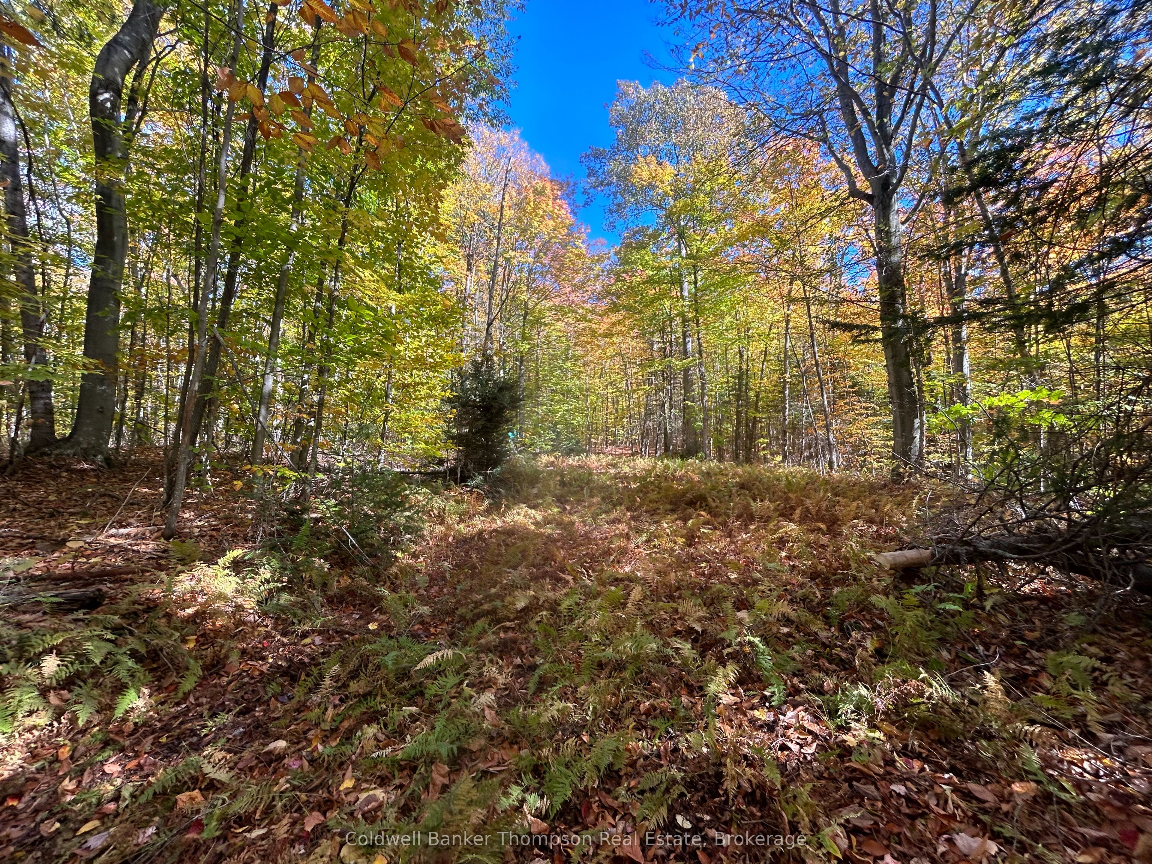 833 Hamilton Lake Road, Machar, ON P0A 1X0