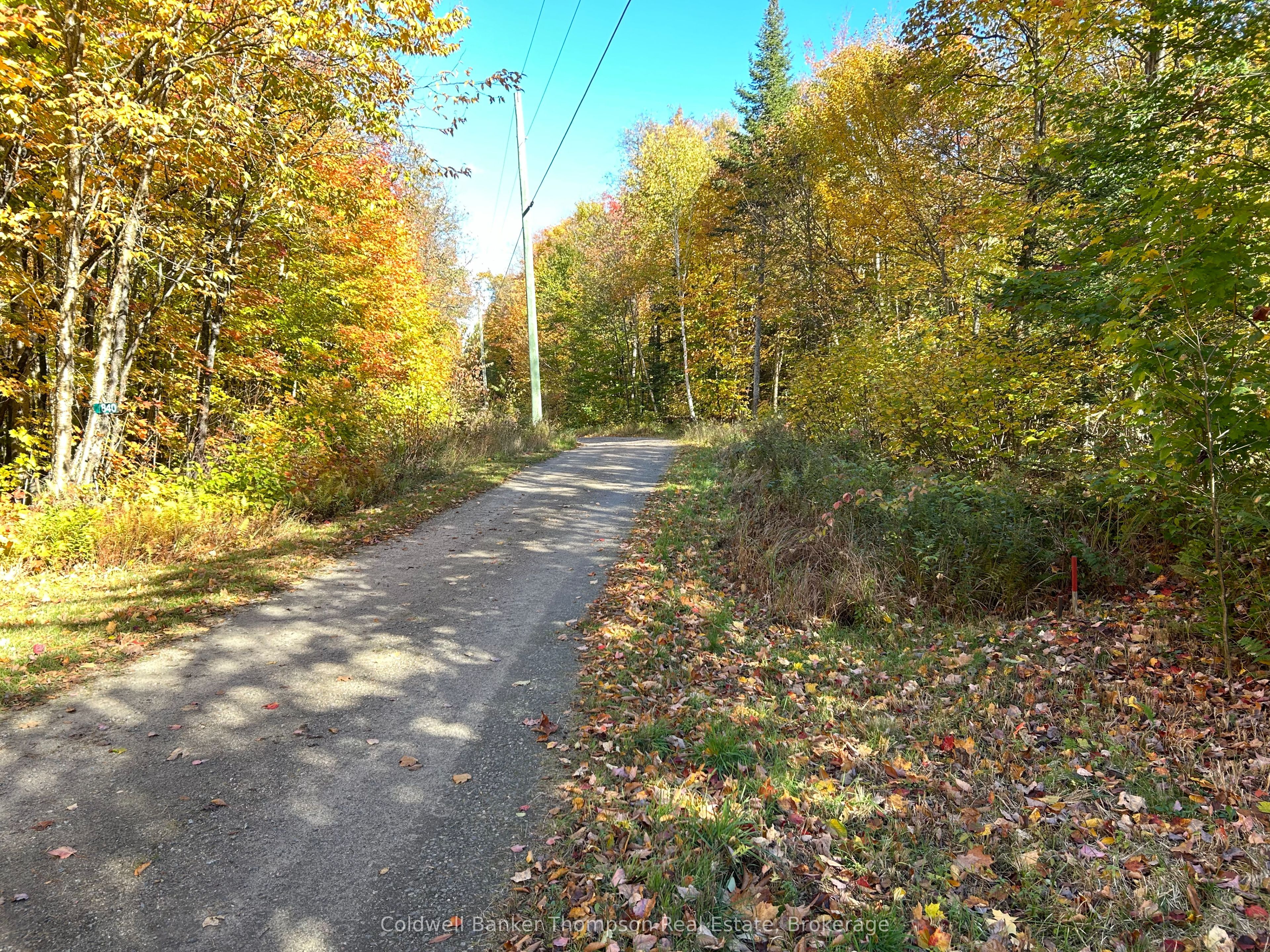 833 Hamilton Lake Road, Machar, ON P0A 1X0 photo 3