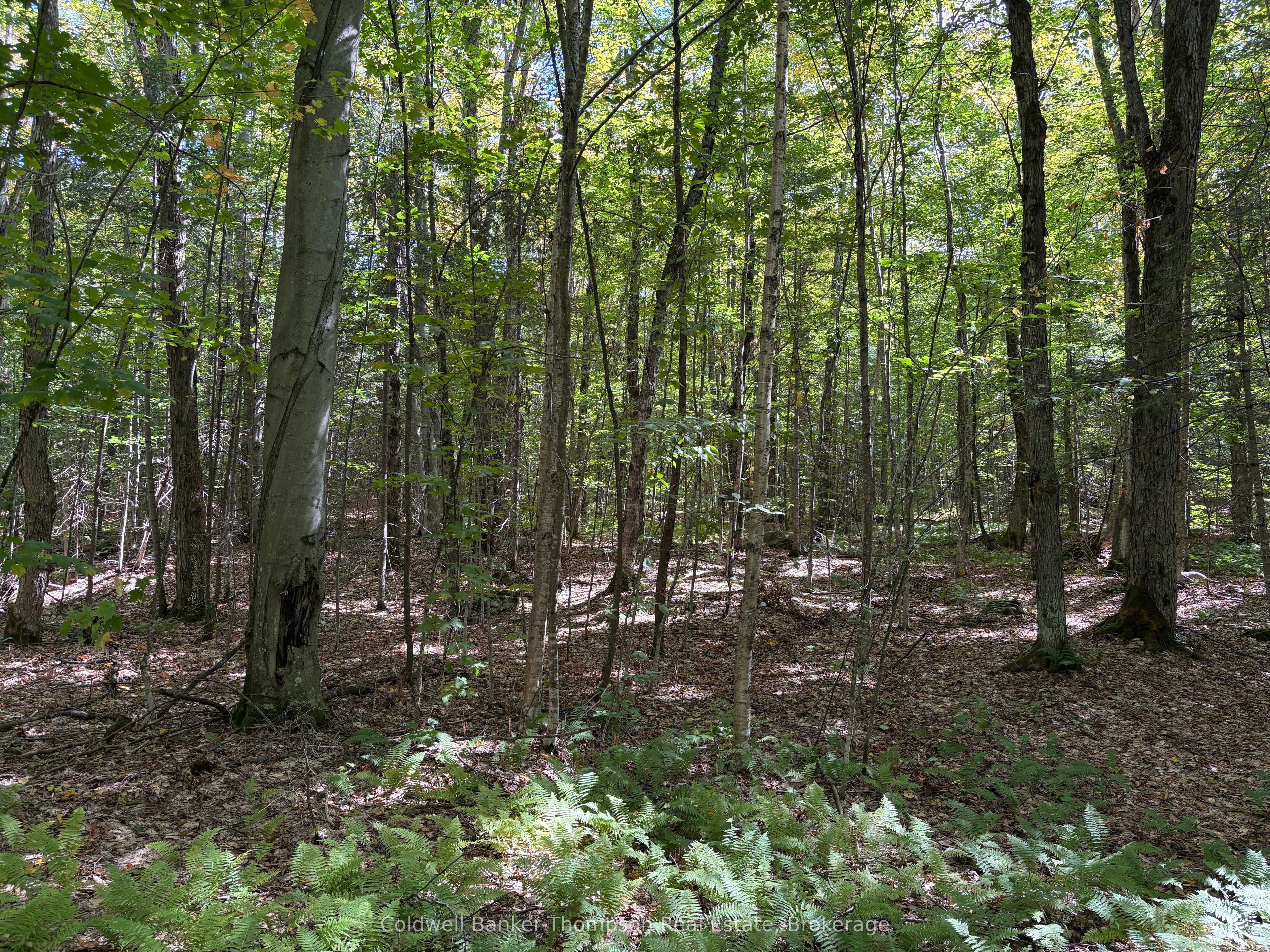 833 Hamilton Lake Road, Machar, ON P0A 1X0 photo 4