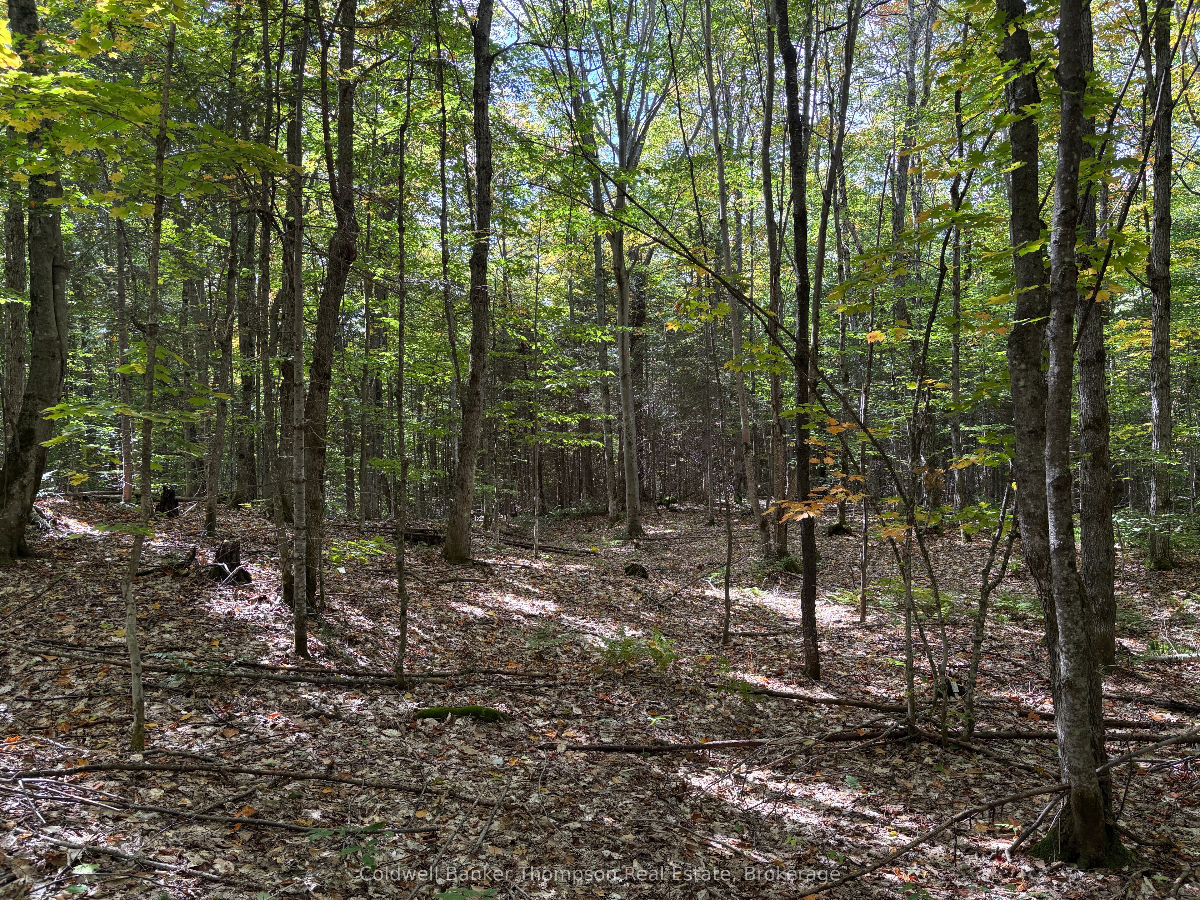 833 Hamilton Lake Road, Machar, ON P0A 1X0 photo 5