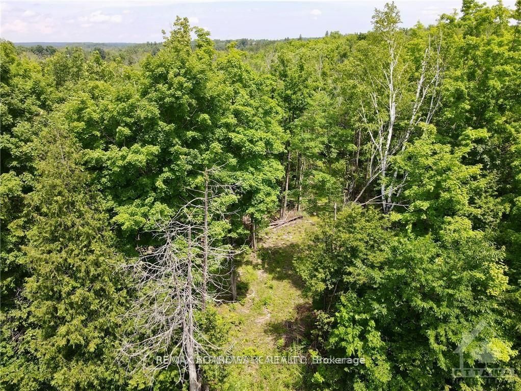 1375 SHERIDAN RAPIDS Road, Lanark Highlands, ON K0G 1K0 photo 3