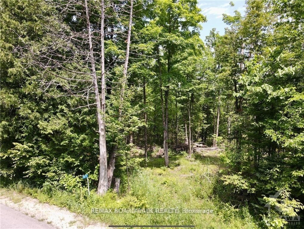 1375 SHERIDAN RAPIDS Road, Lanark Highlands, ON K0G 1K0 photo 4