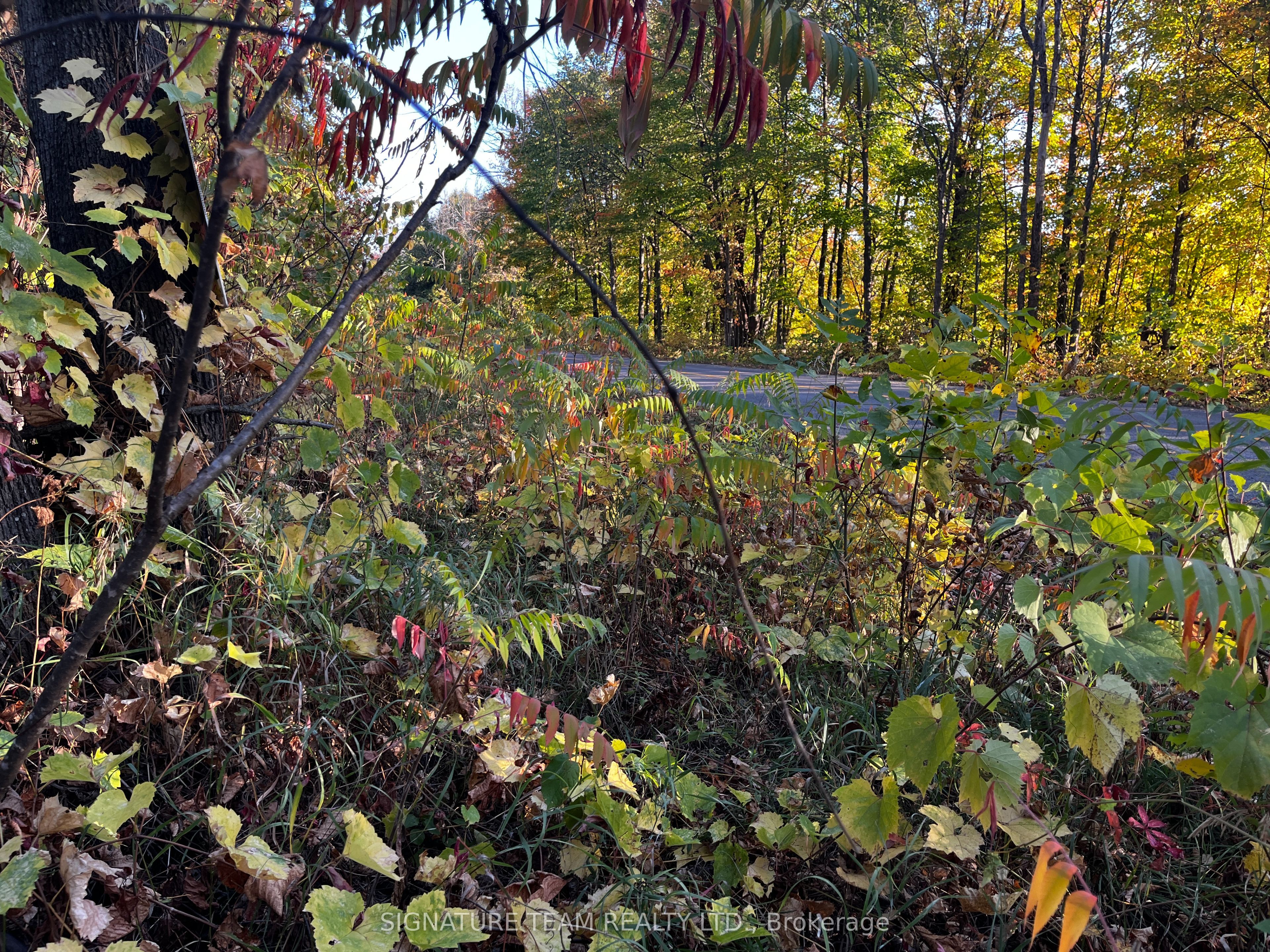 lot 0 Bellamy Road, McNab/Braeside, ON K0A 3L0 photo 5