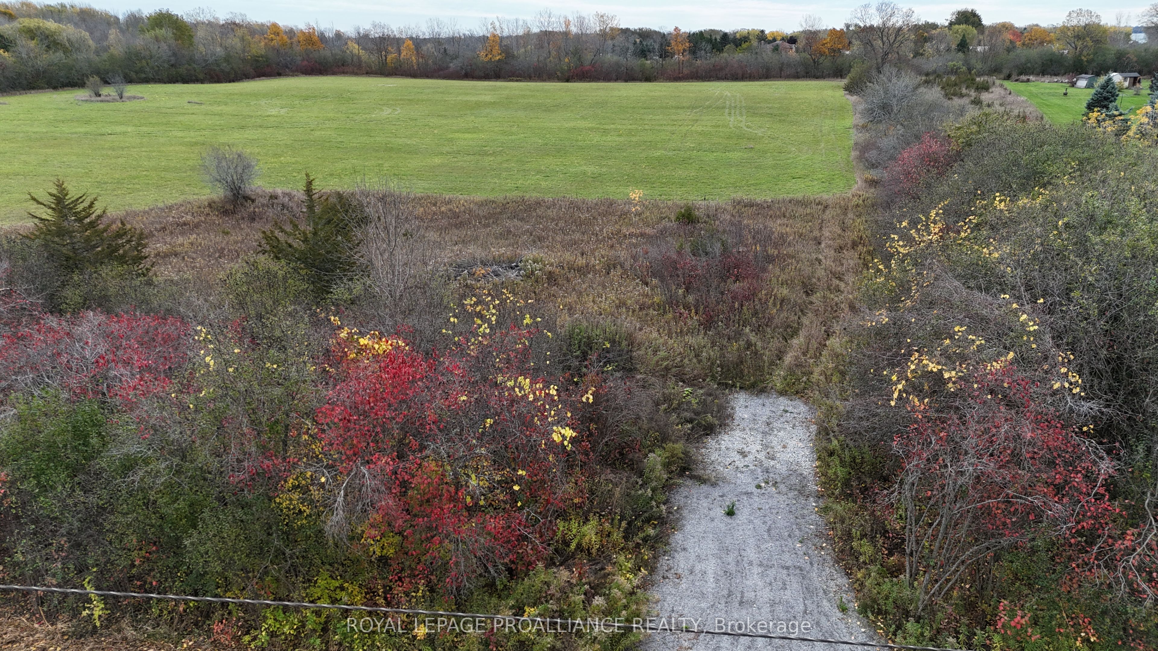 507 SMOKES POINT Road, Prince Edward County, ON K0K 1L0 photo 5