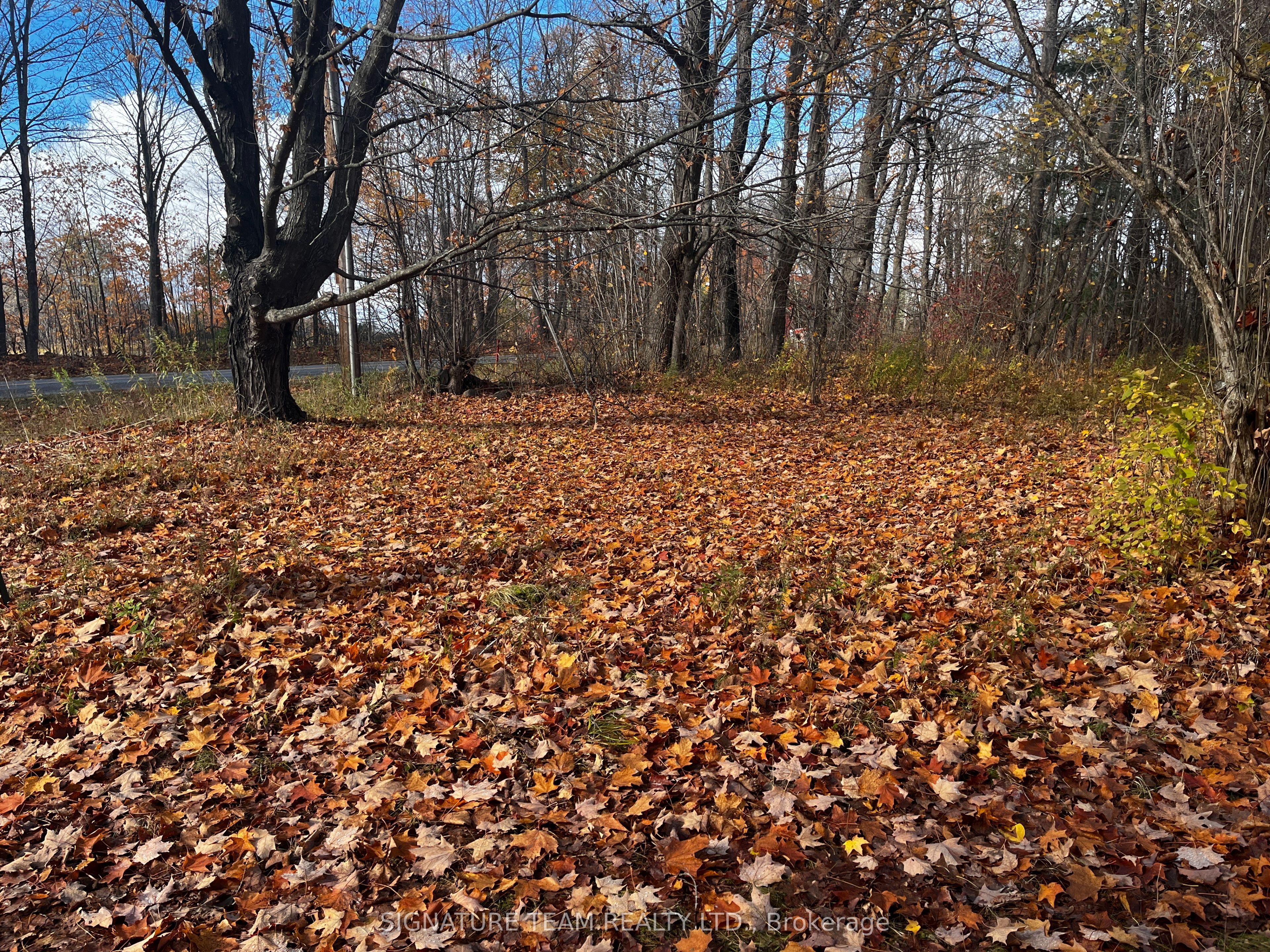 482 Bellamy Road, McNab/Braeside, ON K0A 3L0 photo 3