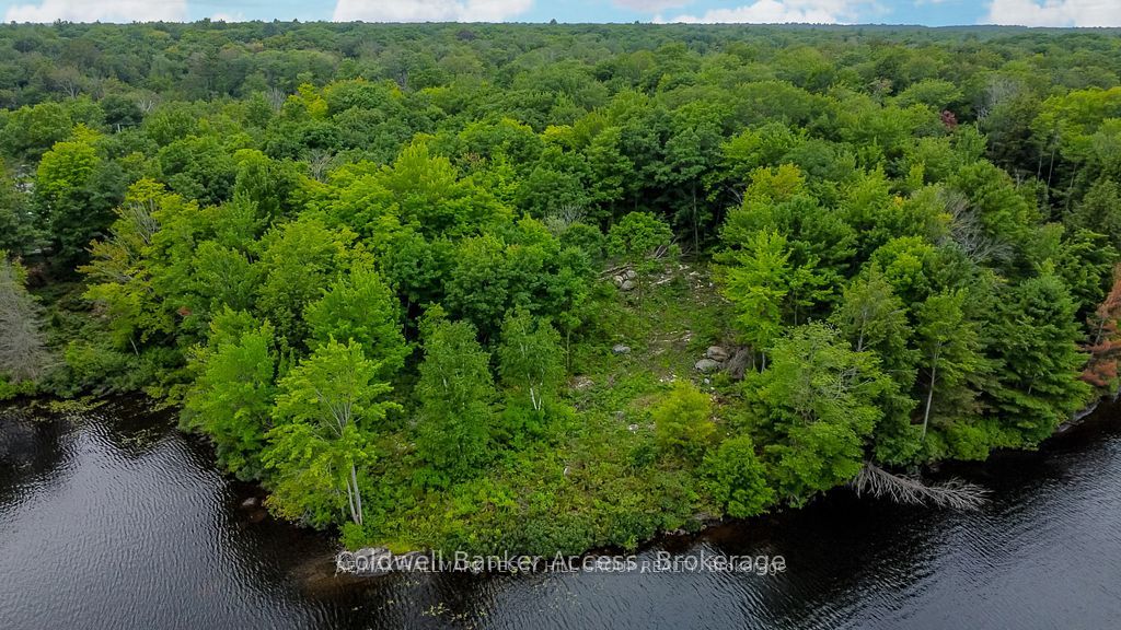 52 Hawkins Point Road, Georgian Bay, ON P0C 1H0 photo 3