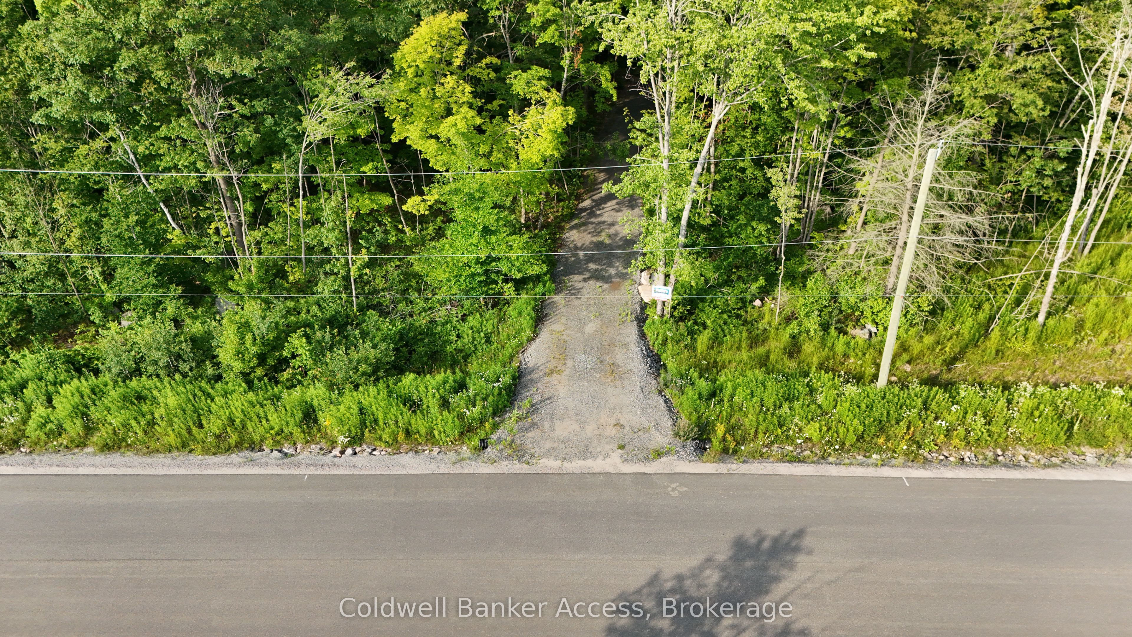 52 Hawkins Point Road, Georgian Bay, ON P0C 1H0 photo 4