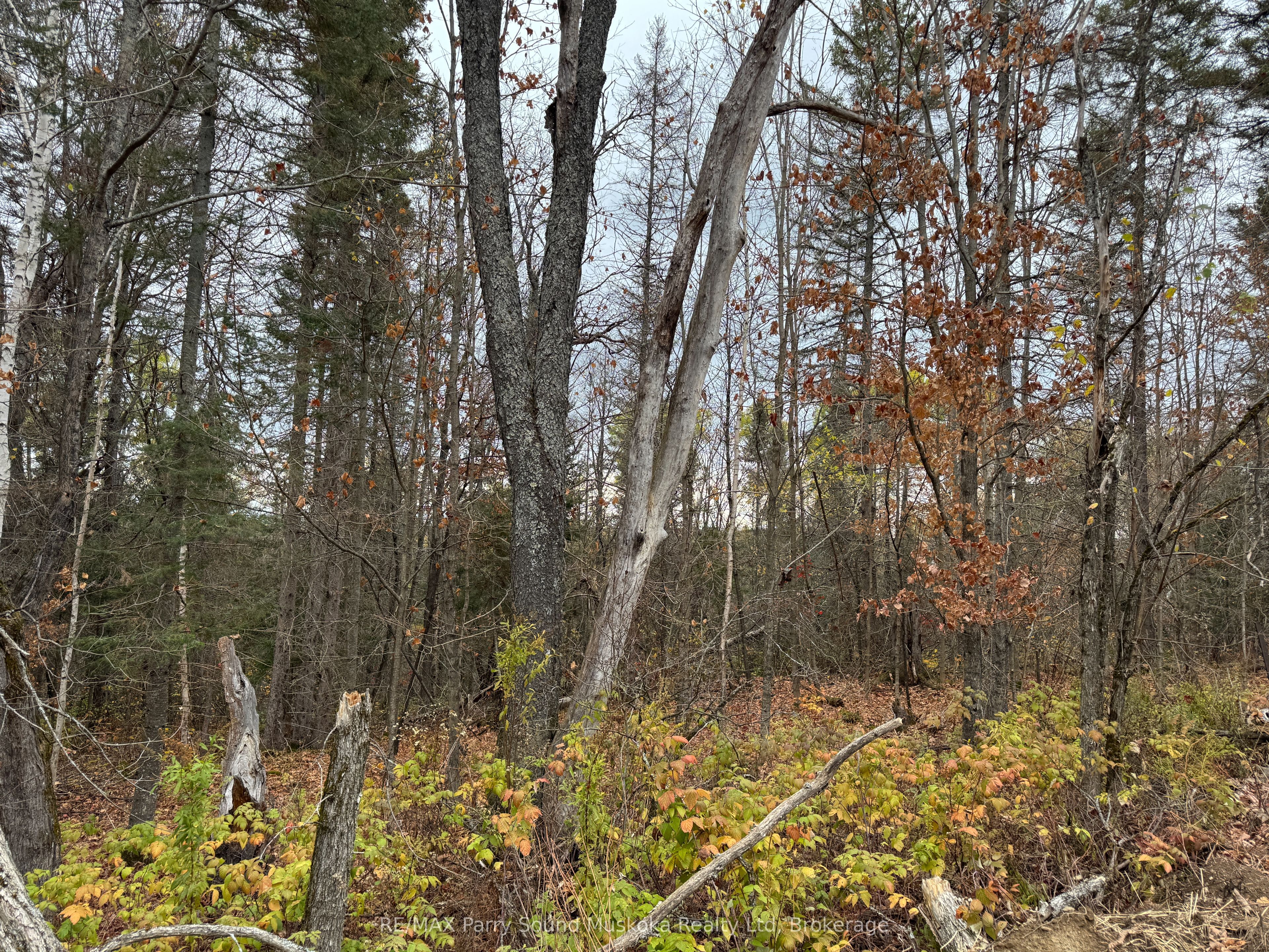 0-2 Bennett Road, Parry Sound Remote Area, ON P0H 1J0 photo 3