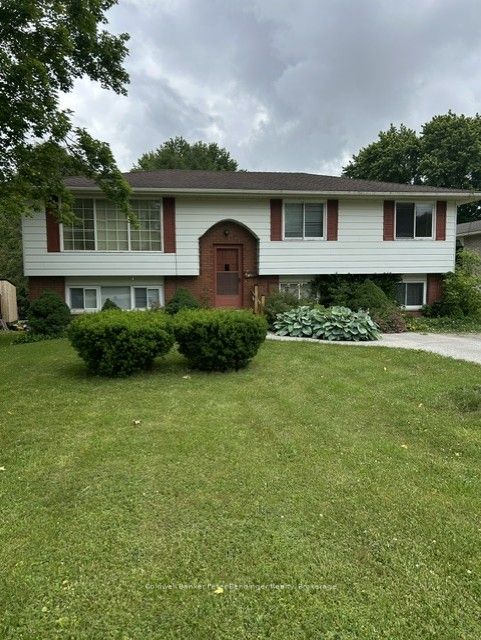 191 George Street S, Arran-Elderslie, ON N0G 2N0 photo 2