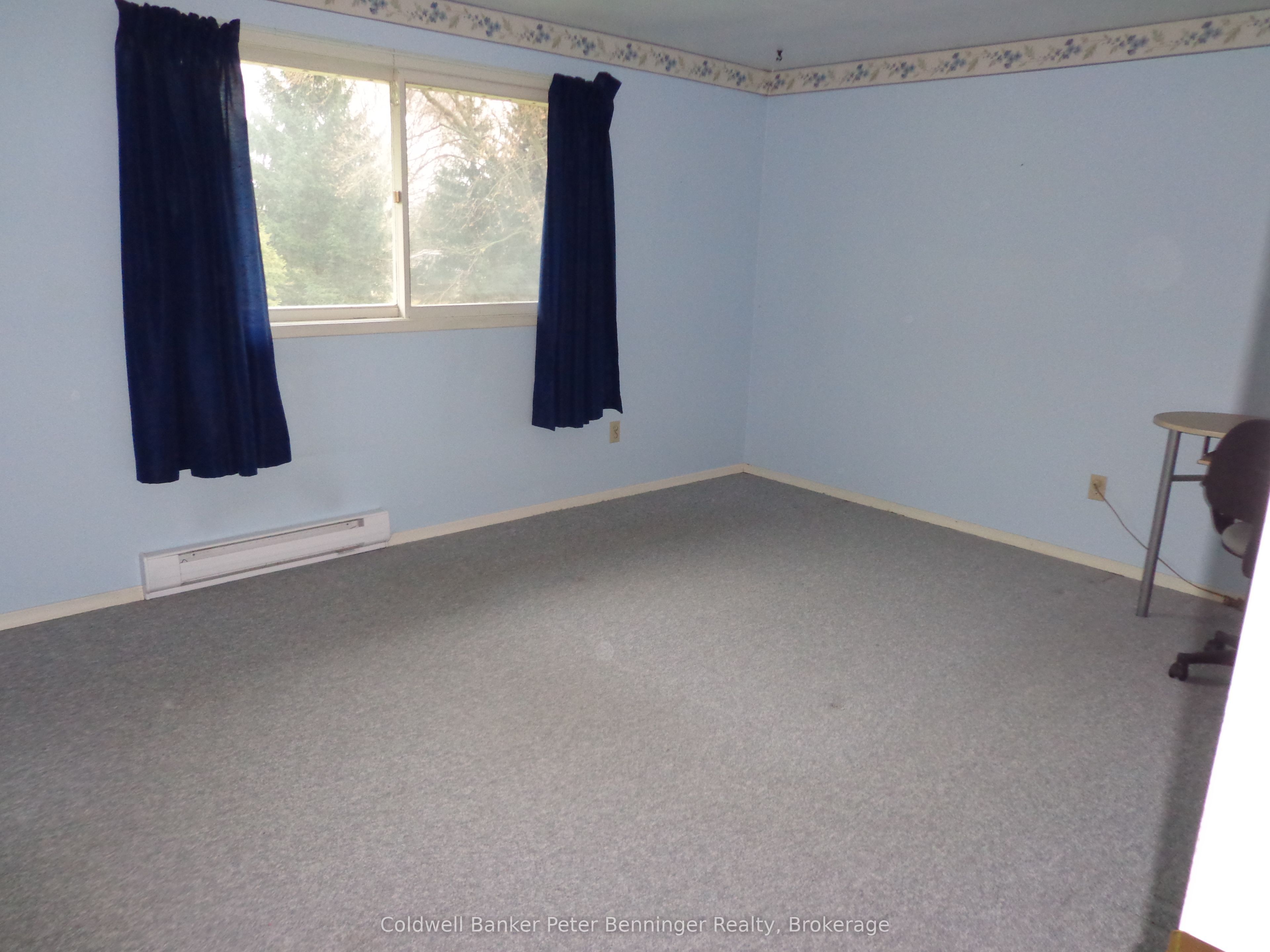 191 George Street S, Arran-Elderslie, ON N0G 2N0 photo 5