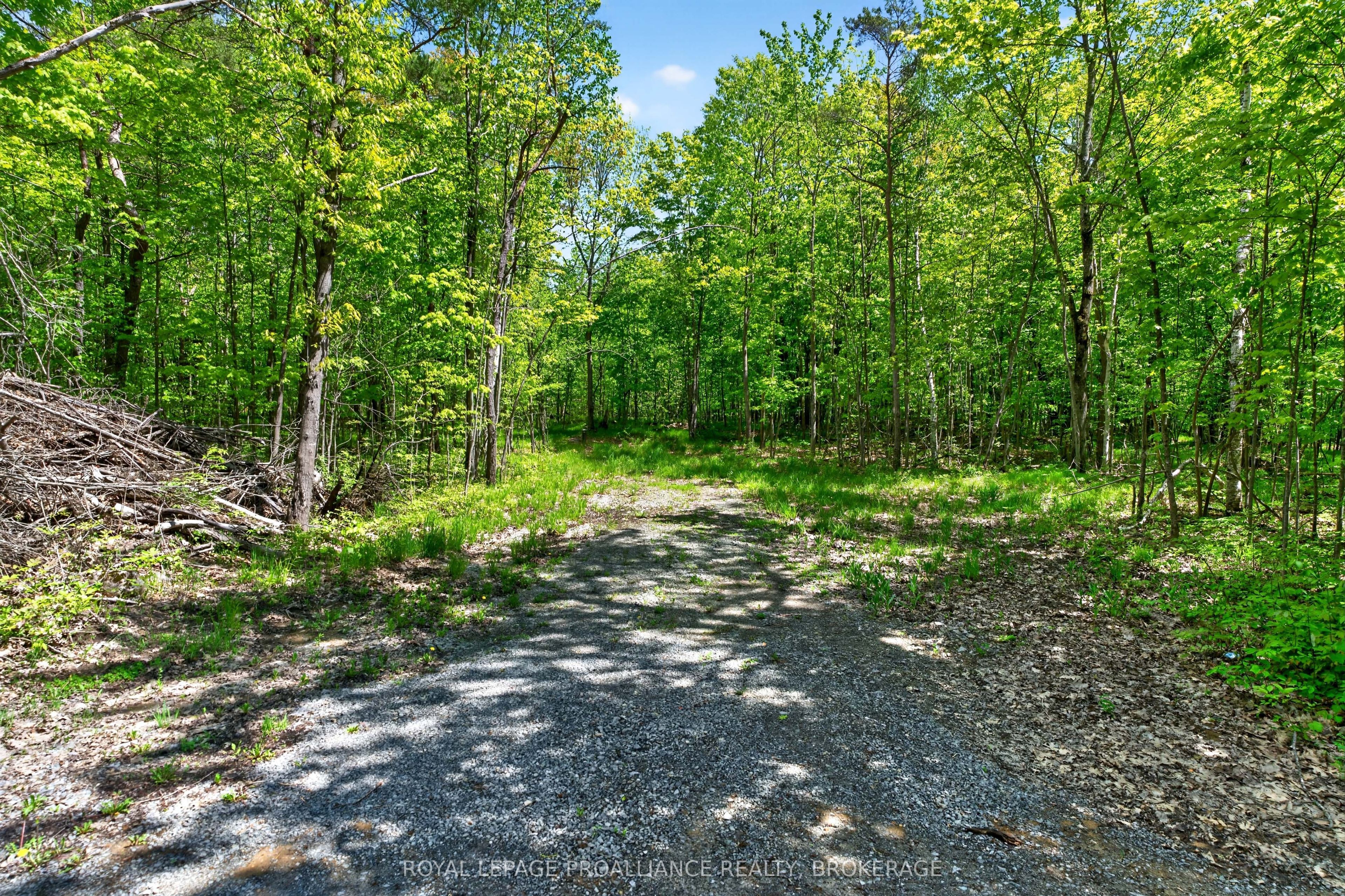 PT LTS 12 & 13 Devil Lake Road, South Frontenac, ON K0G 1X0