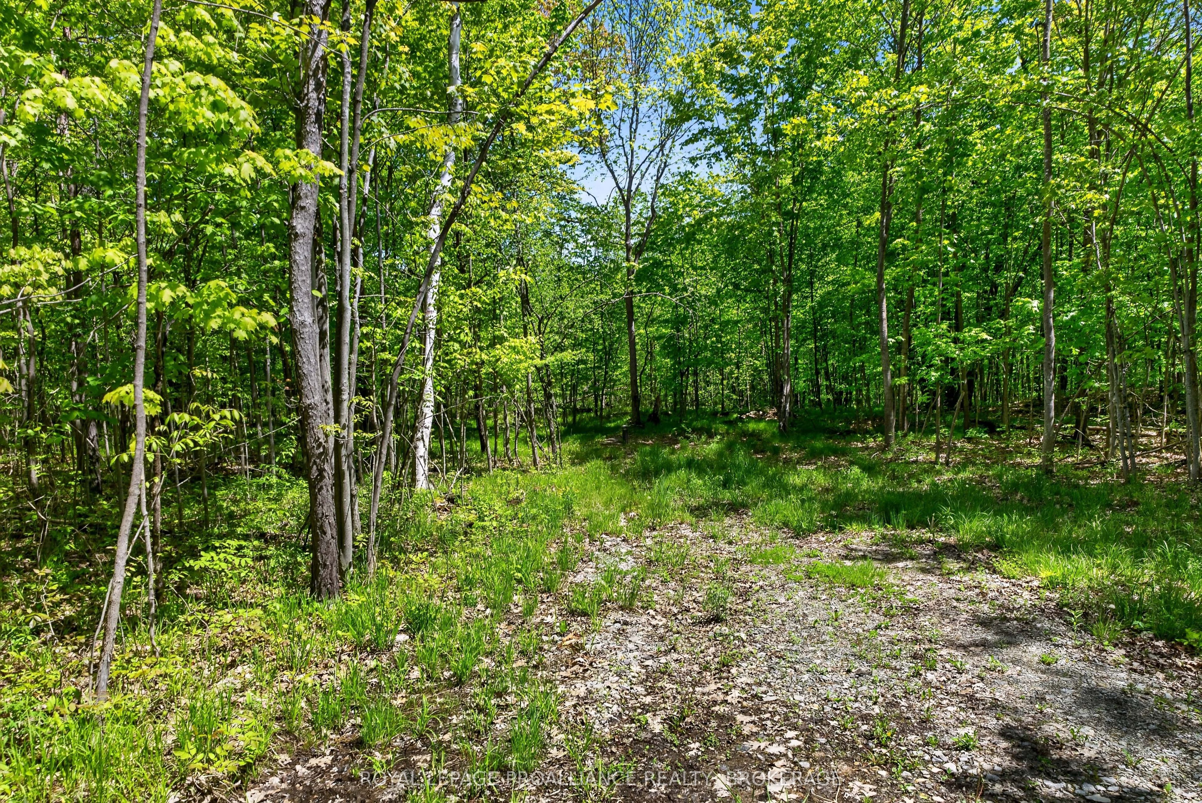 PT LTS 12 & 13 Devil Lake Road, South Frontenac, ON K0G 1X0 photo 2