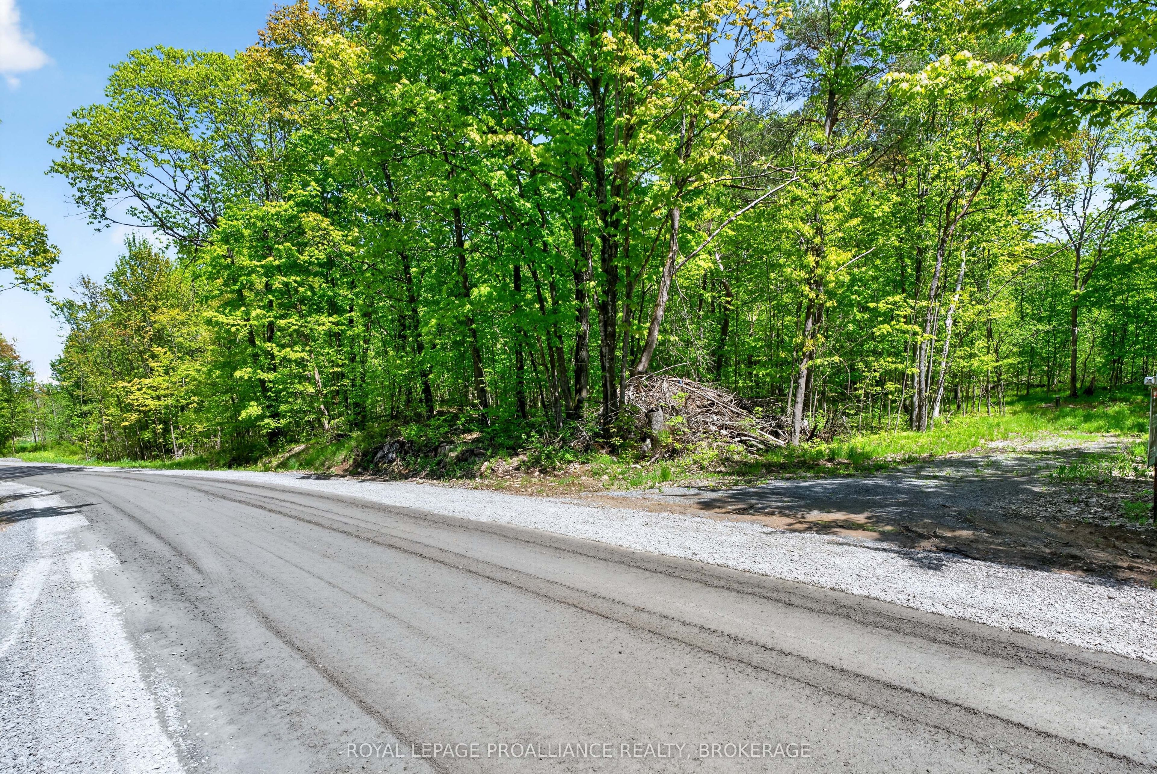 PT LTS 12 & 13 Devil Lake Road, South Frontenac, ON K0G 1X0 photo 3