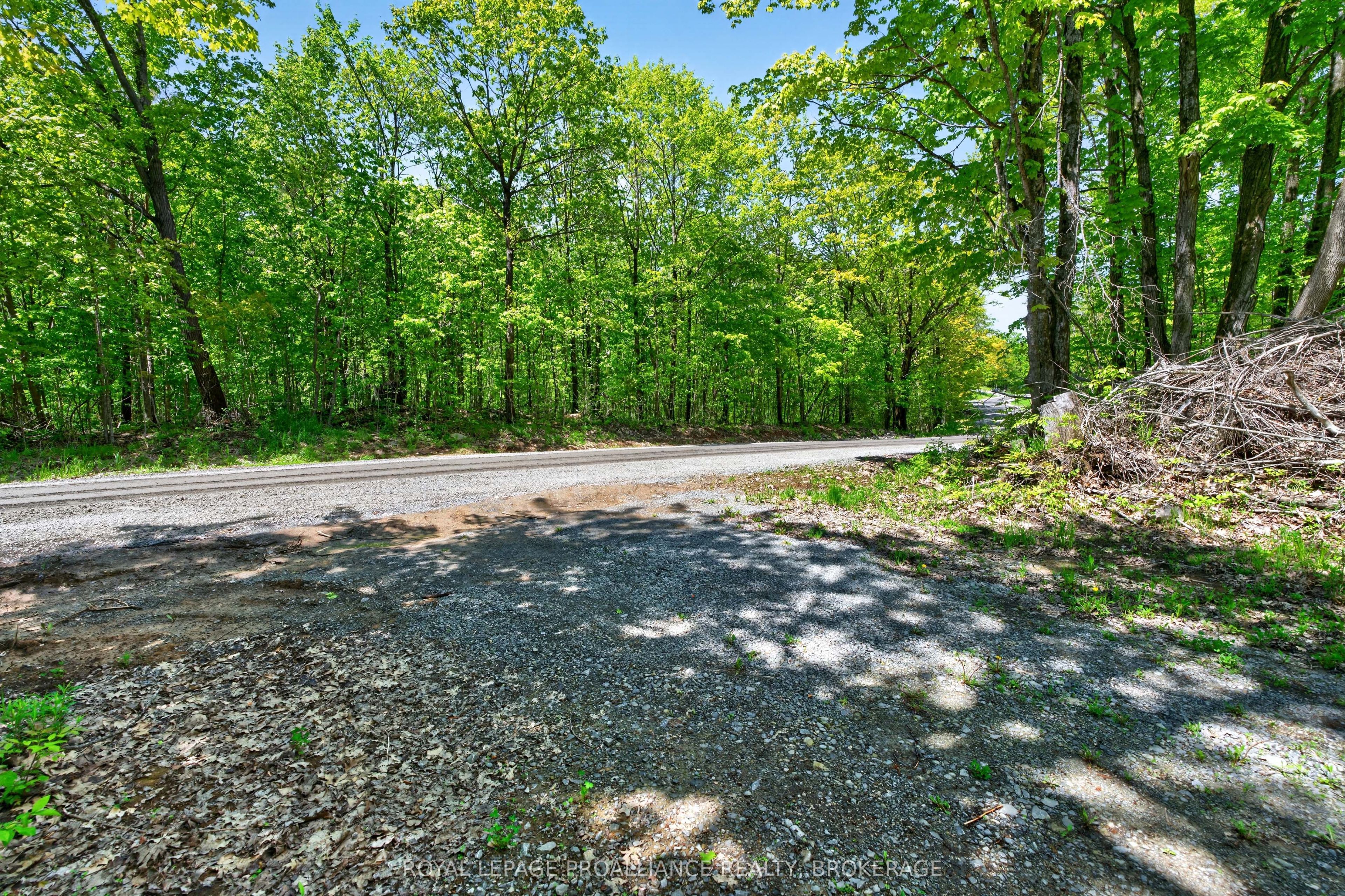 PT LTS 12 & 13 Devil Lake Road, South Frontenac, ON K0G 1X0 photo 4