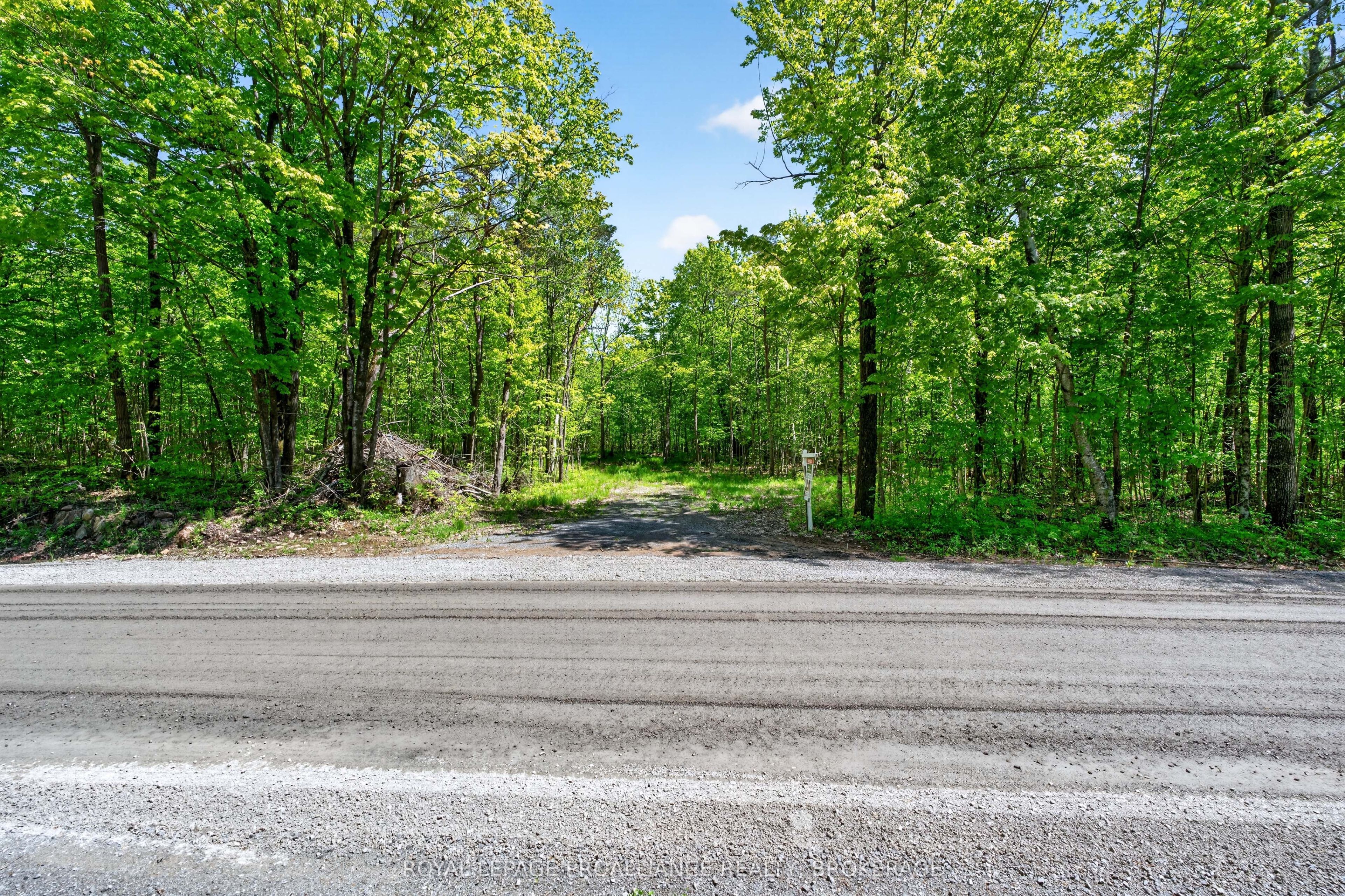 PT LTS 12 & 13 Devil Lake Road, South Frontenac, ON K0G 1X0 photo 5