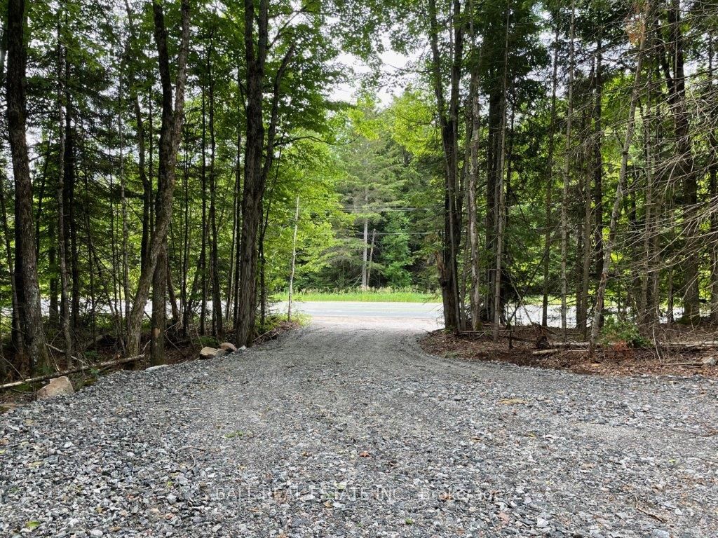 1350 Haliburton Lake Rd N/A, Dysart et al, ON K0M 1S0