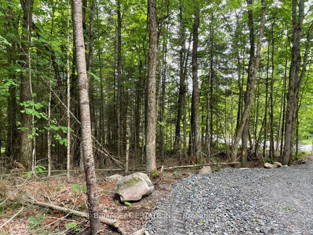 1350 Haliburton Lake Rd N/A, Dysart et al, ON K0M 1S0 photo 2