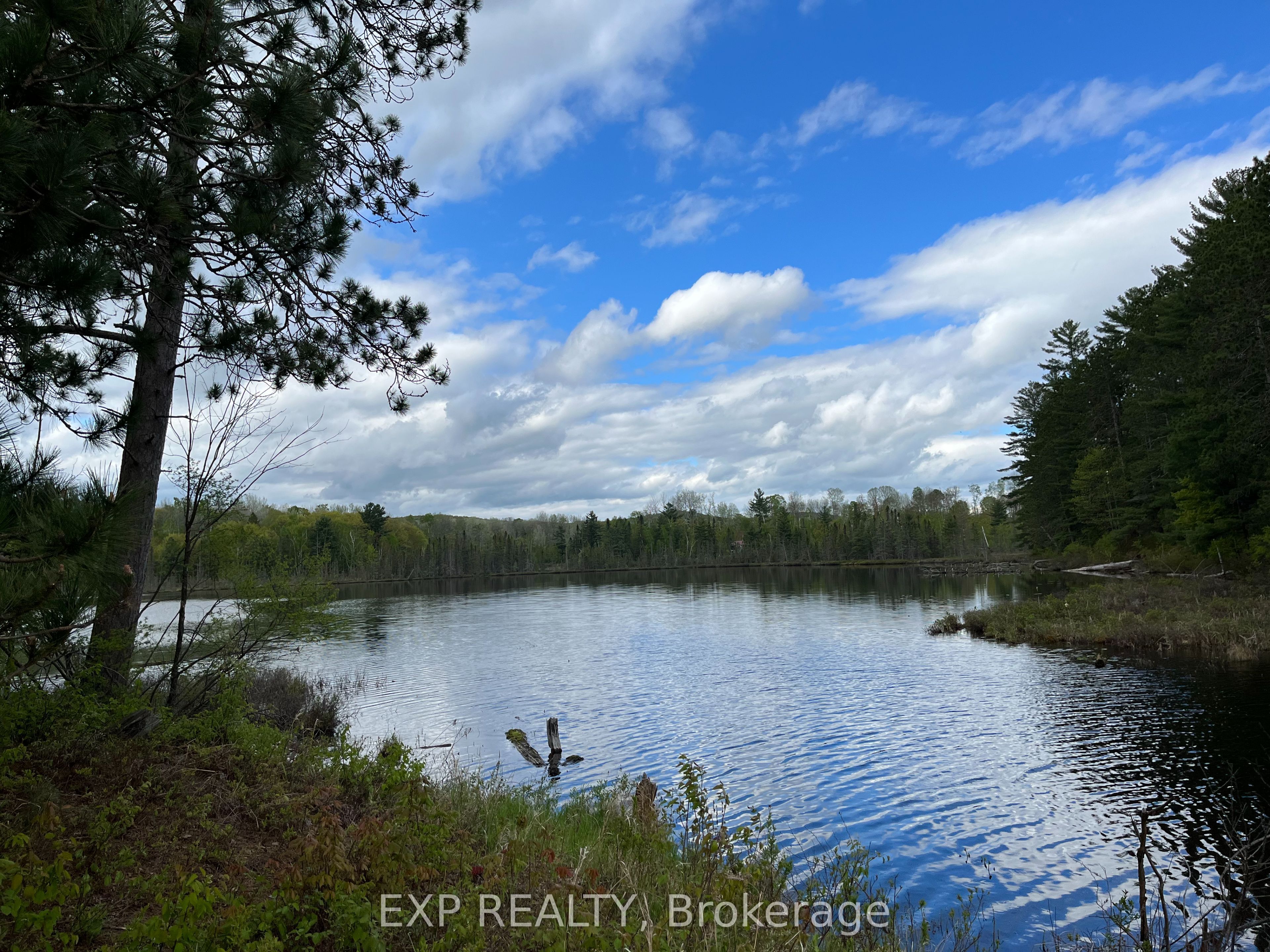 Lot 9 Casson Trail, Madawaska Valley, ON K0J 1B0 photo 4