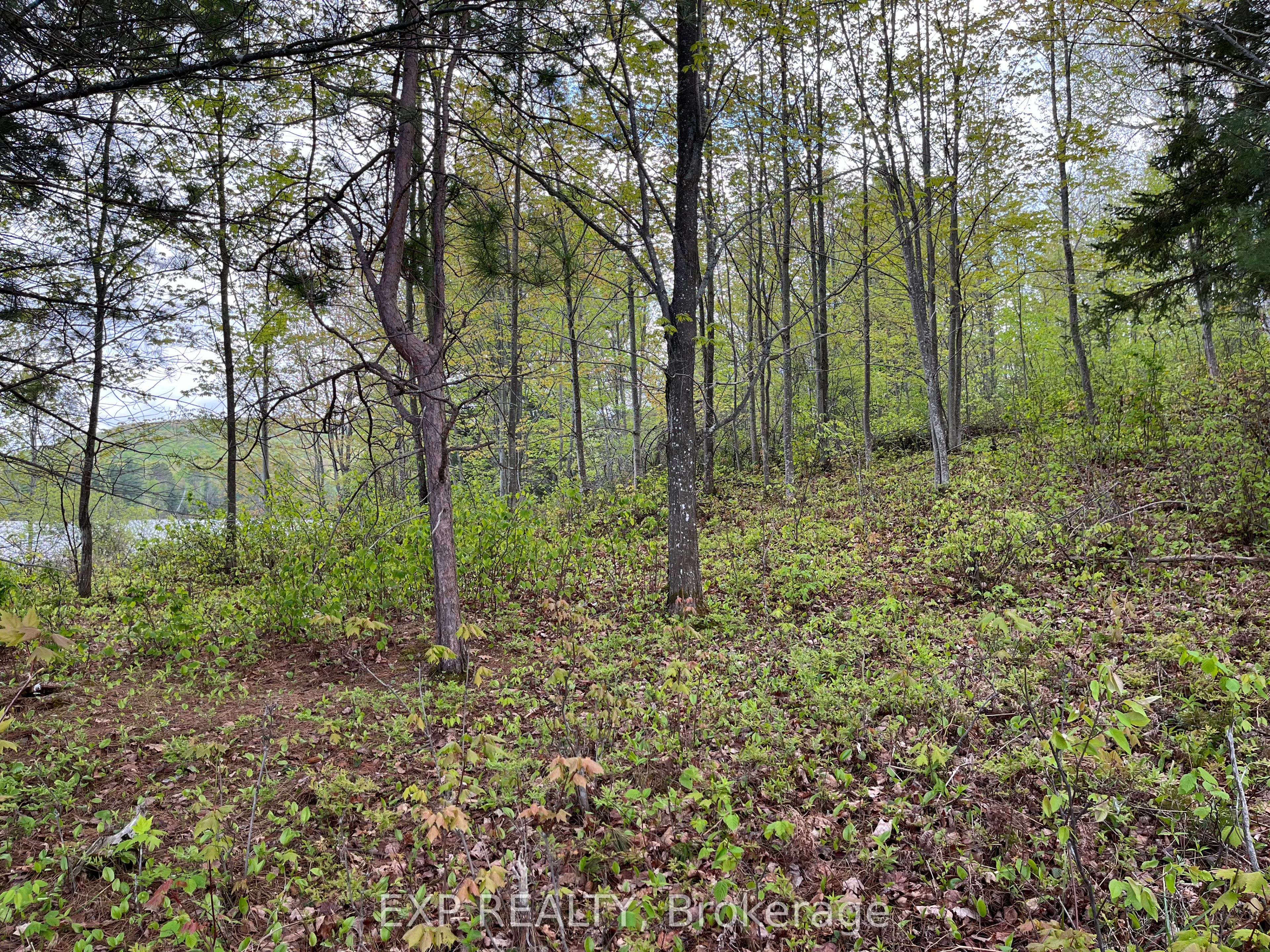 Lot 9 Casson Trail, Madawaska Valley, ON K0J 1B0 photo 5
