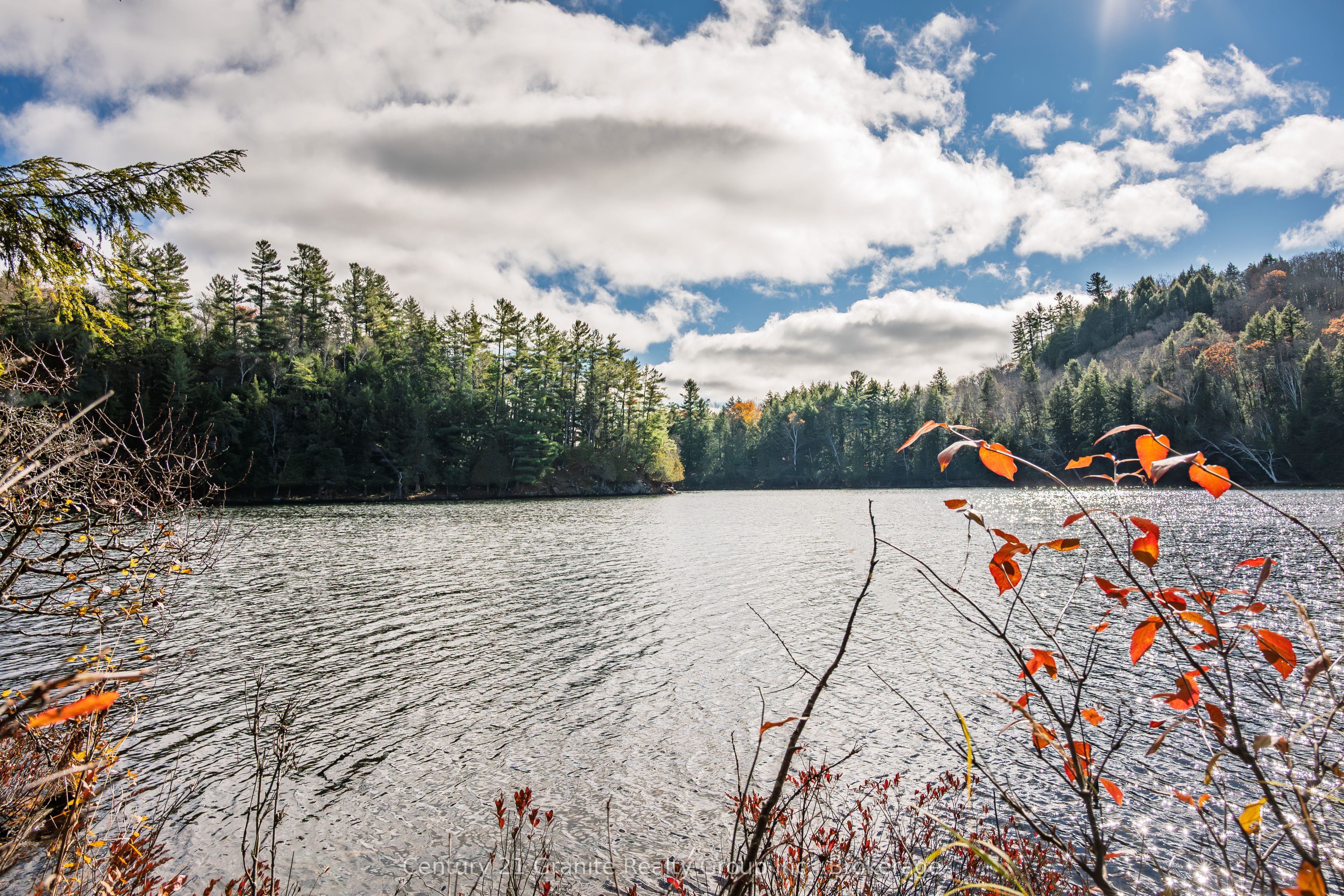 0 Tedious Lake WAO N/A, Dysart et al, ON K0M 1S0 photo 5