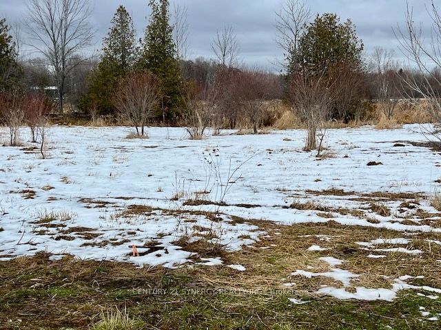 000 ARMSTRONG Road LOT #1, Drummond/North Elmsley, ON K7A 4S4 photo 3