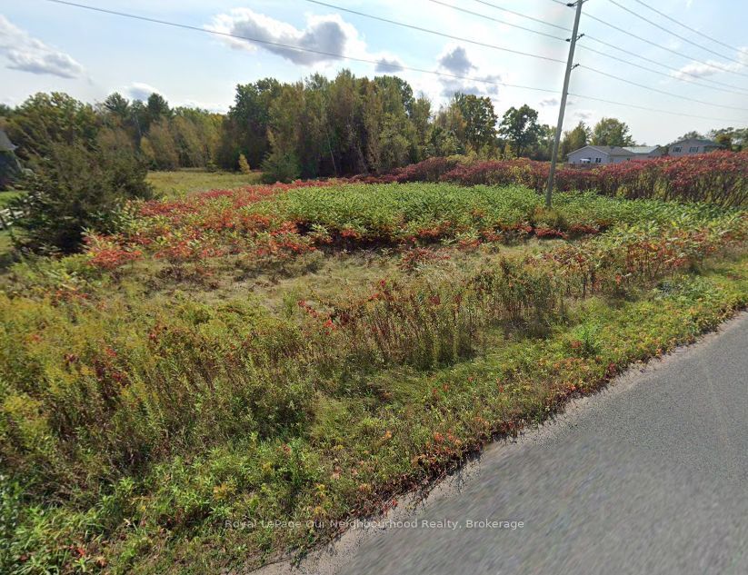 LOT 14 TRENT RIVER Road, Trent Hills, ON K0L 1Z0