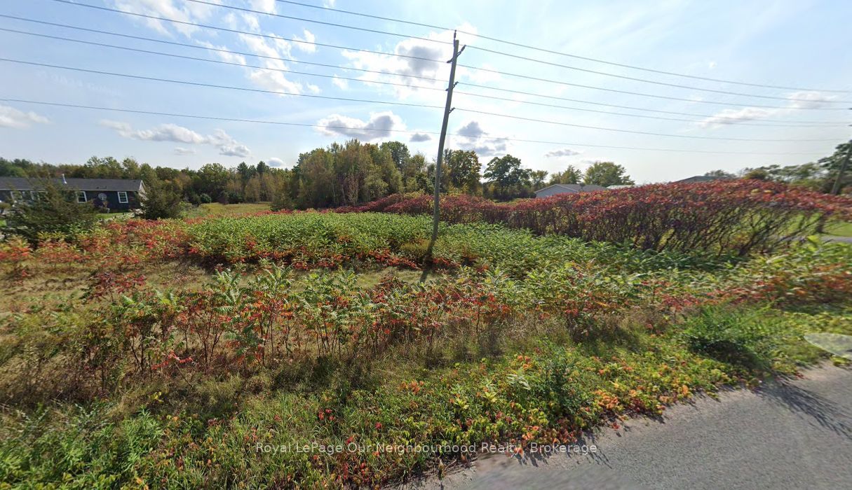 LOT 14 TRENT RIVER Road, Trent Hills, ON K0L 1Z0 photo 4