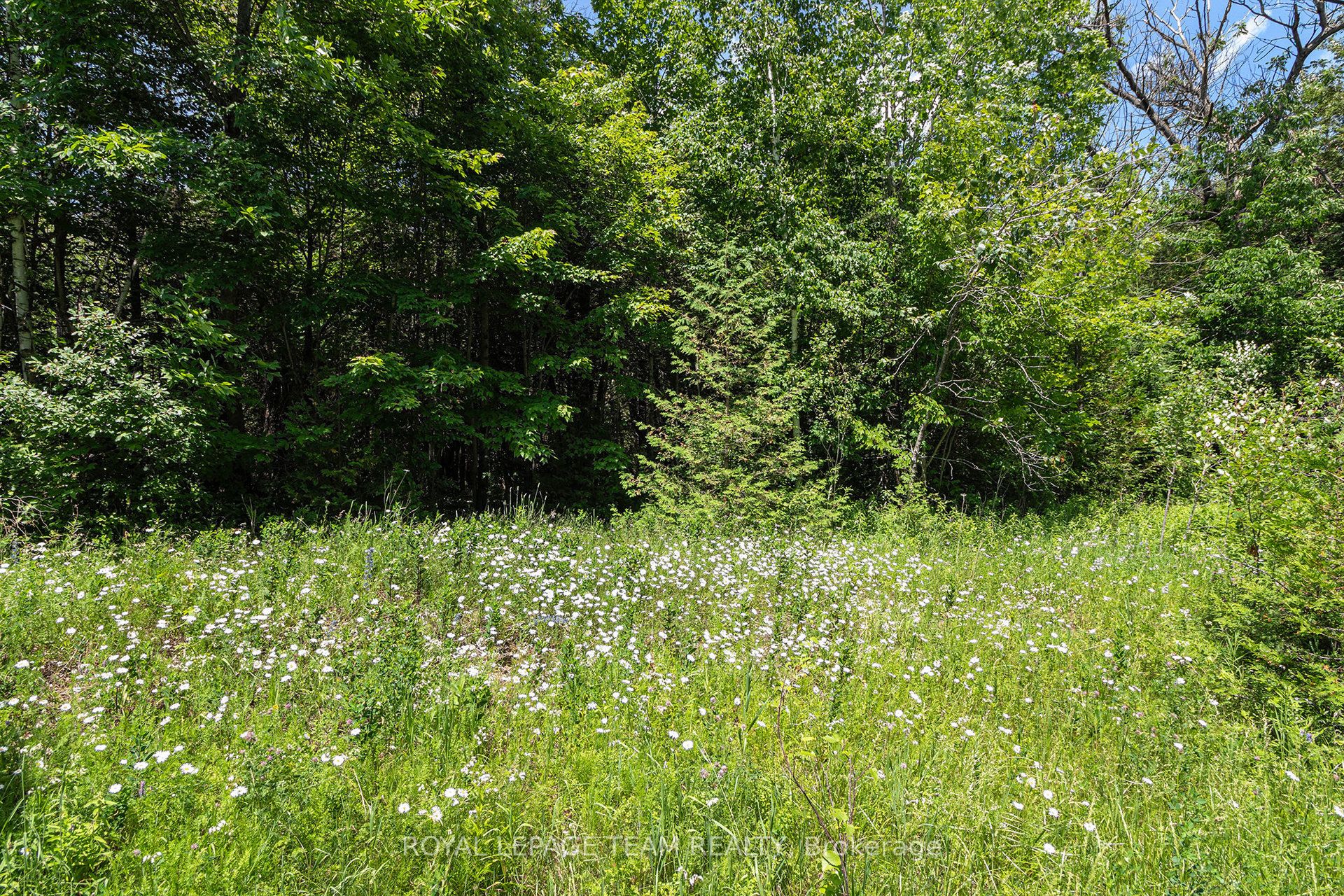 L2-3575 Paden Road, Manotick - Kars - Rideau Twp and Area, ON K0A 2T0 photo 4