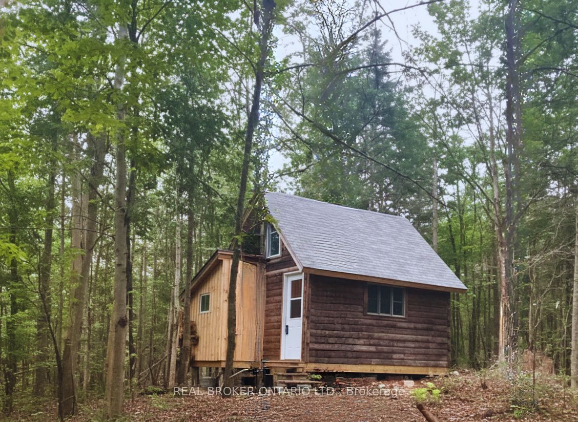 0 Bear Cave Road, Muskoka Lakes, ON P0C 1J0 photo 2