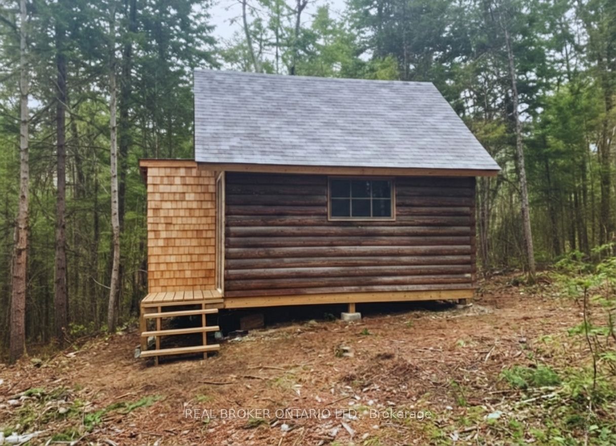 0 Bear Cave Road, Muskoka Lakes, ON P0C 1J0 photo 3