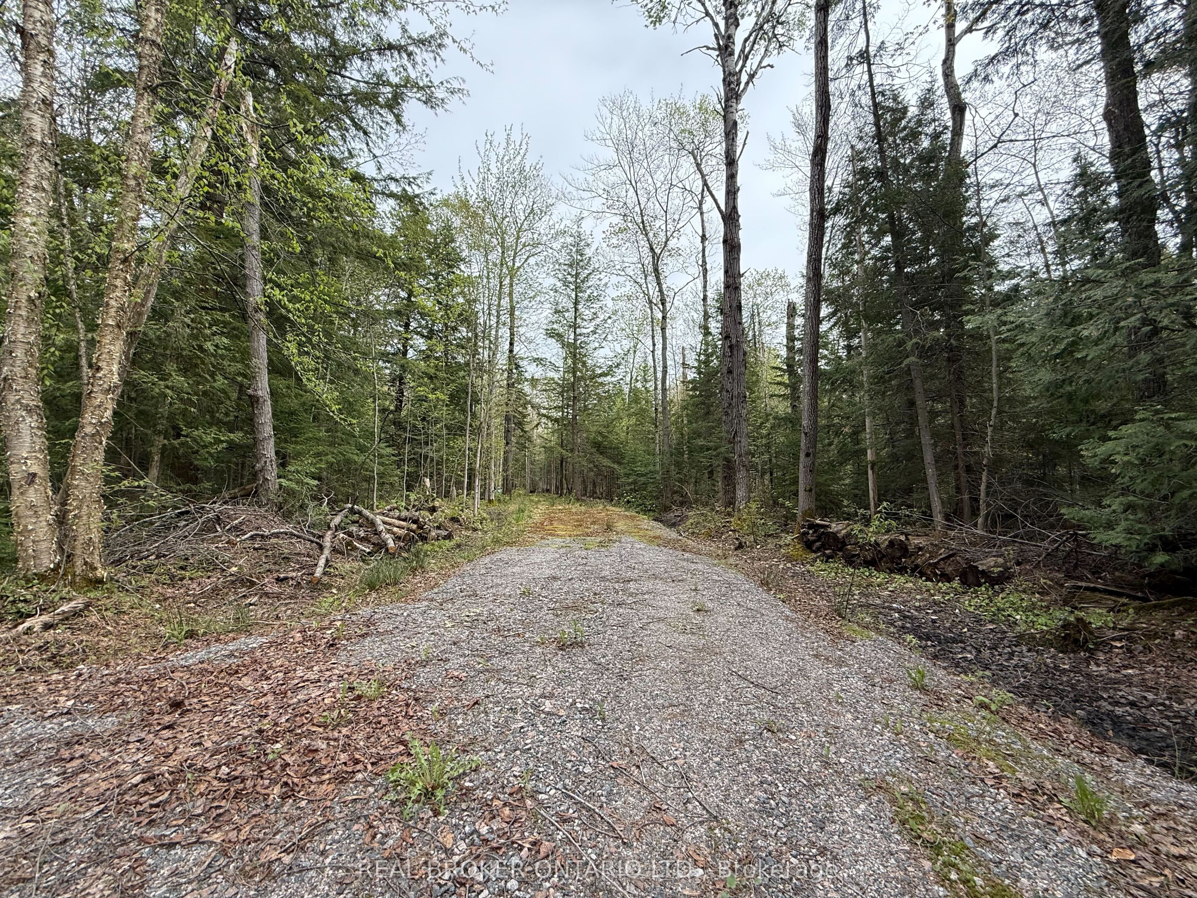 0 Bear Cave Road, Muskoka Lakes, ON P0C 1J0 photo 5