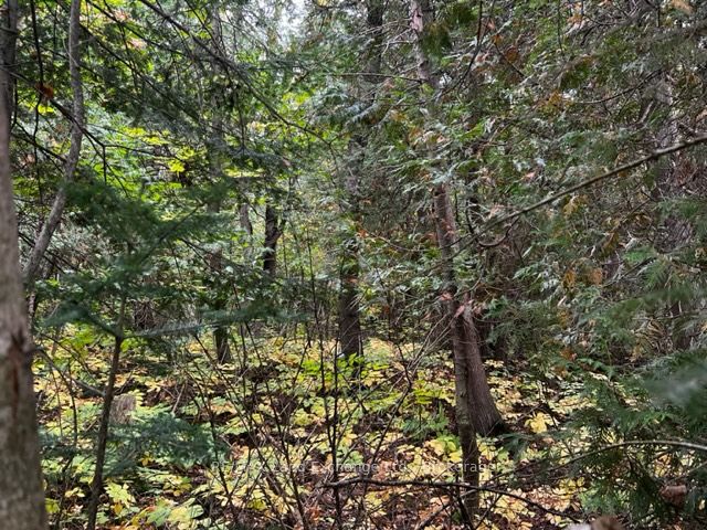 6 SHORE Road, Saugeen Shores, ON N0H 2L0